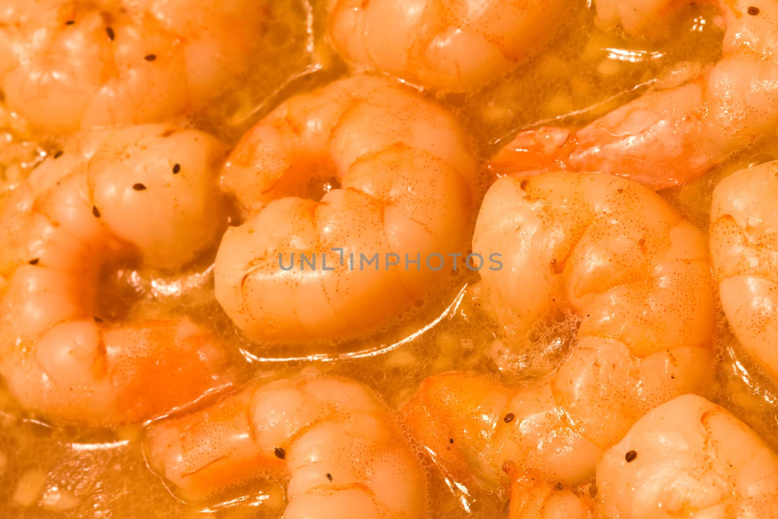 shrimp by snokid