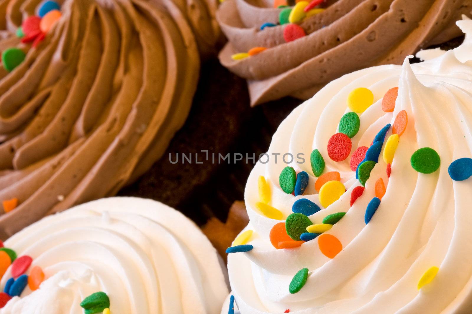 freshly baked cupcakes close up with colored candies on the frosting