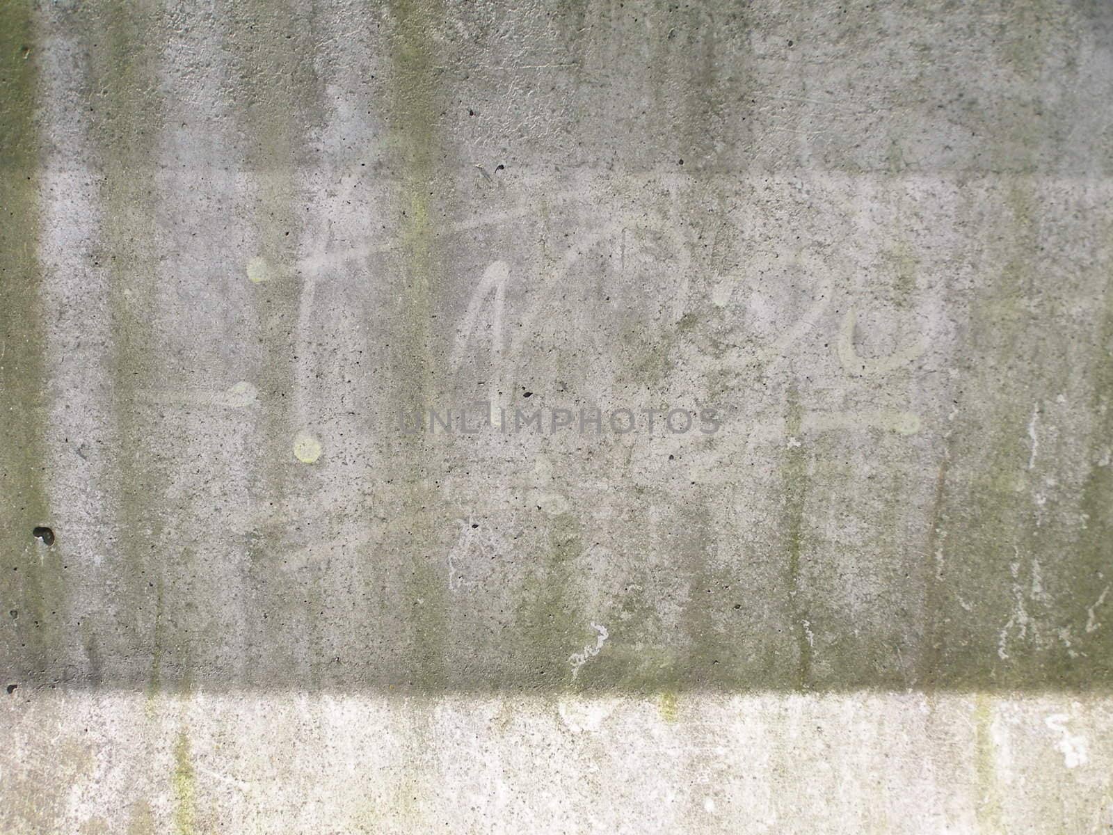 Raw concrete background