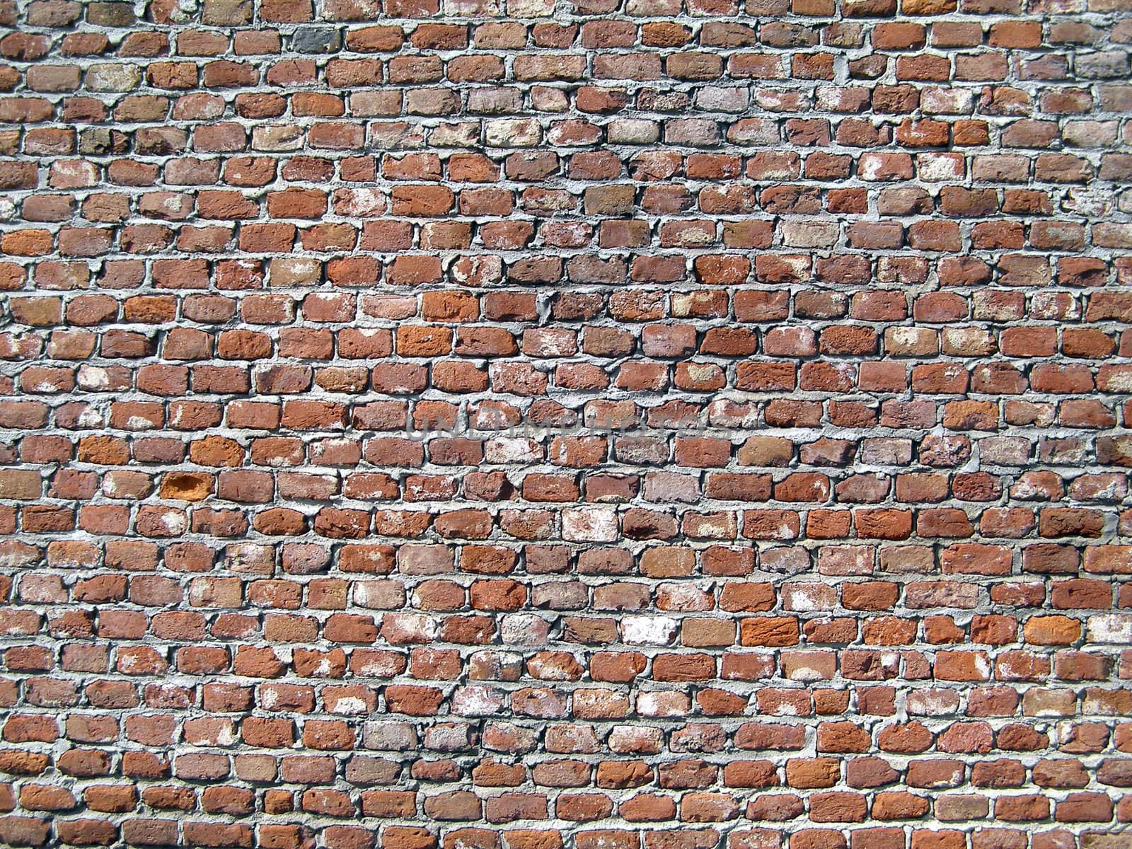 Old brick wall