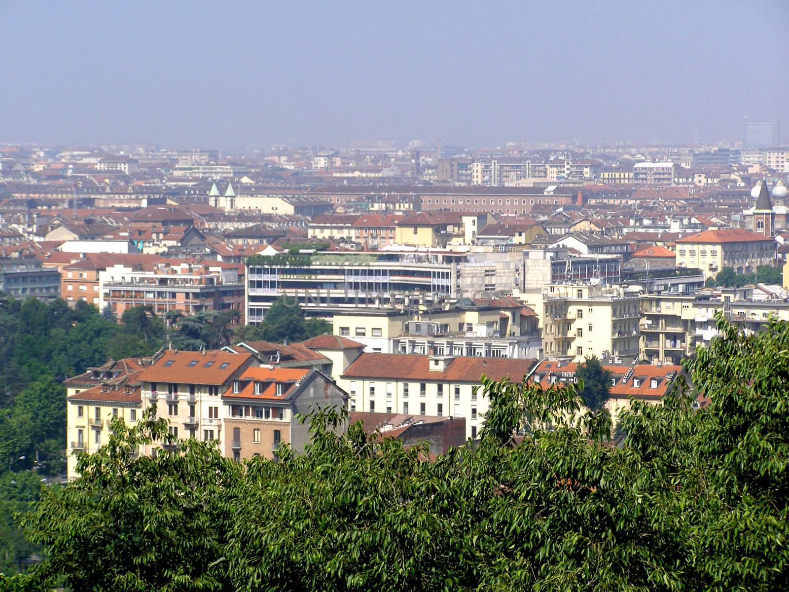 Turin panorama seen from the hill