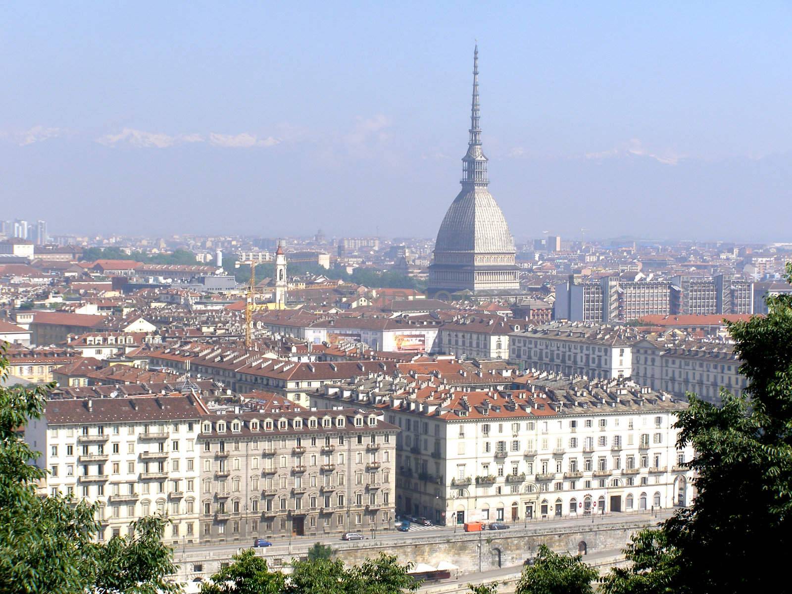 Turin panorama seen from the hill