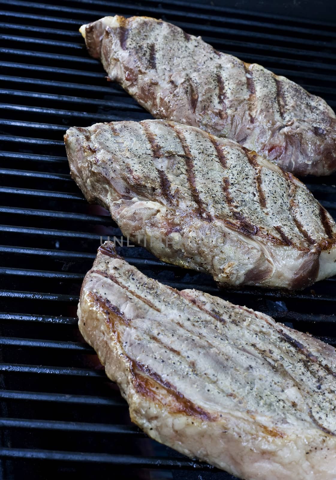 Grilling steaks on the grill nice cuts of meat close up shot shallow DOF