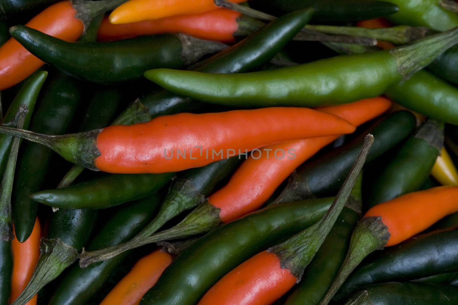 chilli pepper colorful background red and green