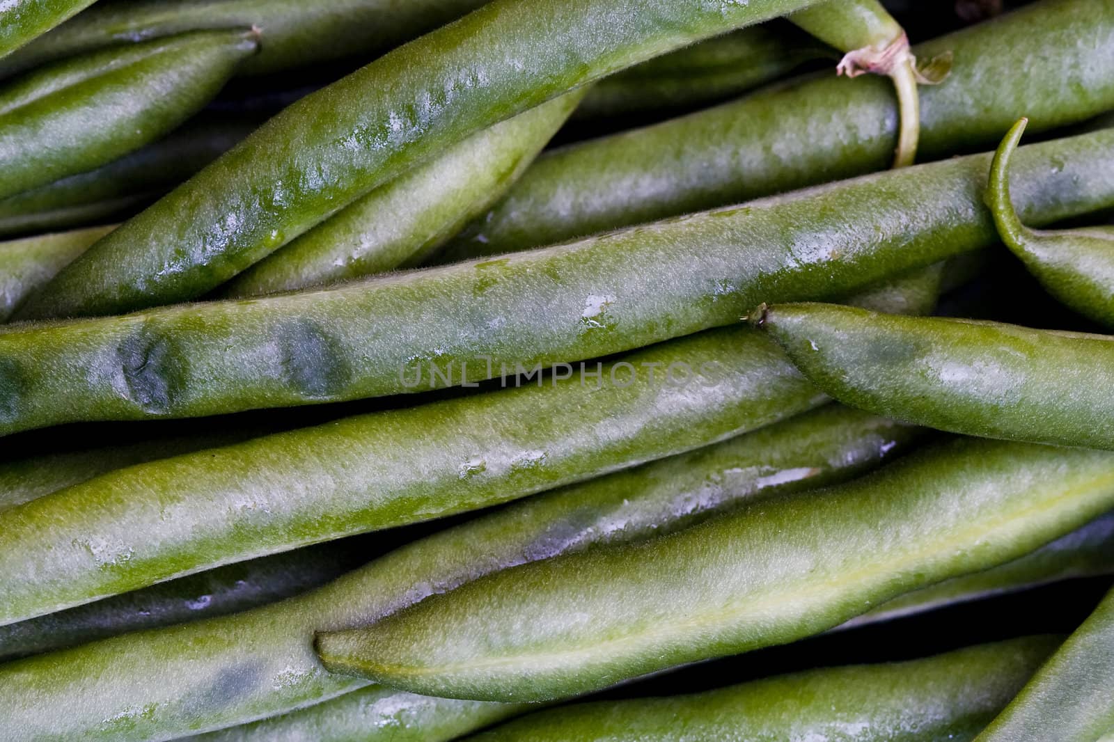 close shot of bright green green beans