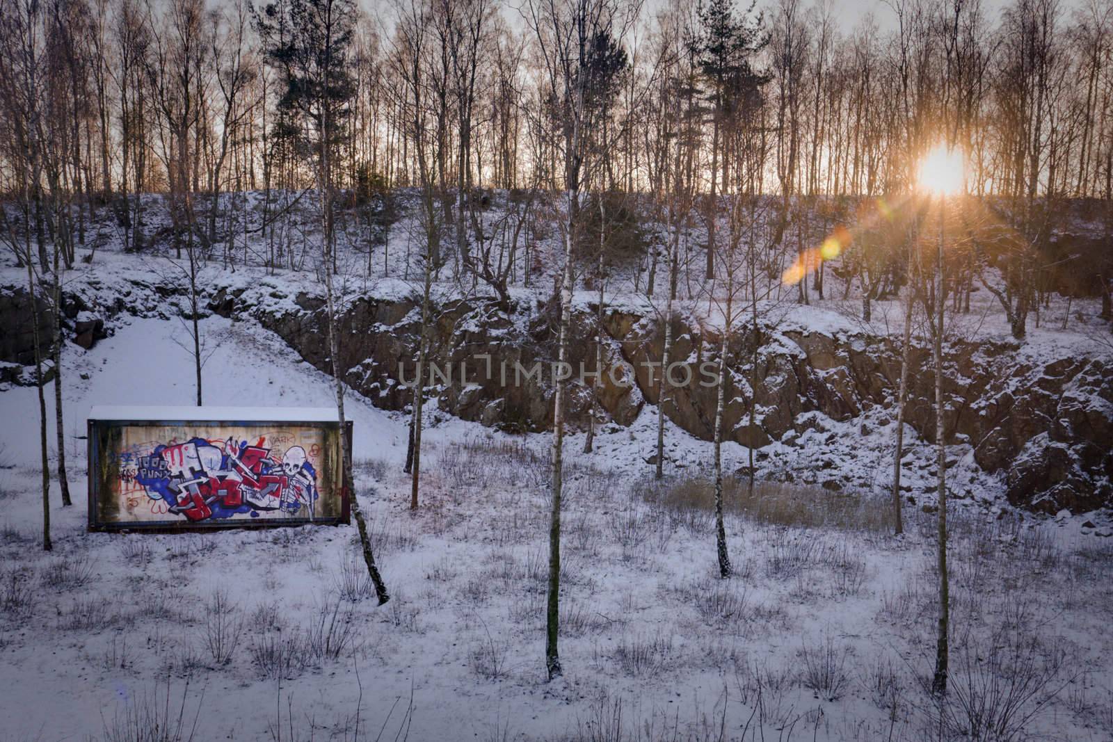 Graffiti container in nature by abey