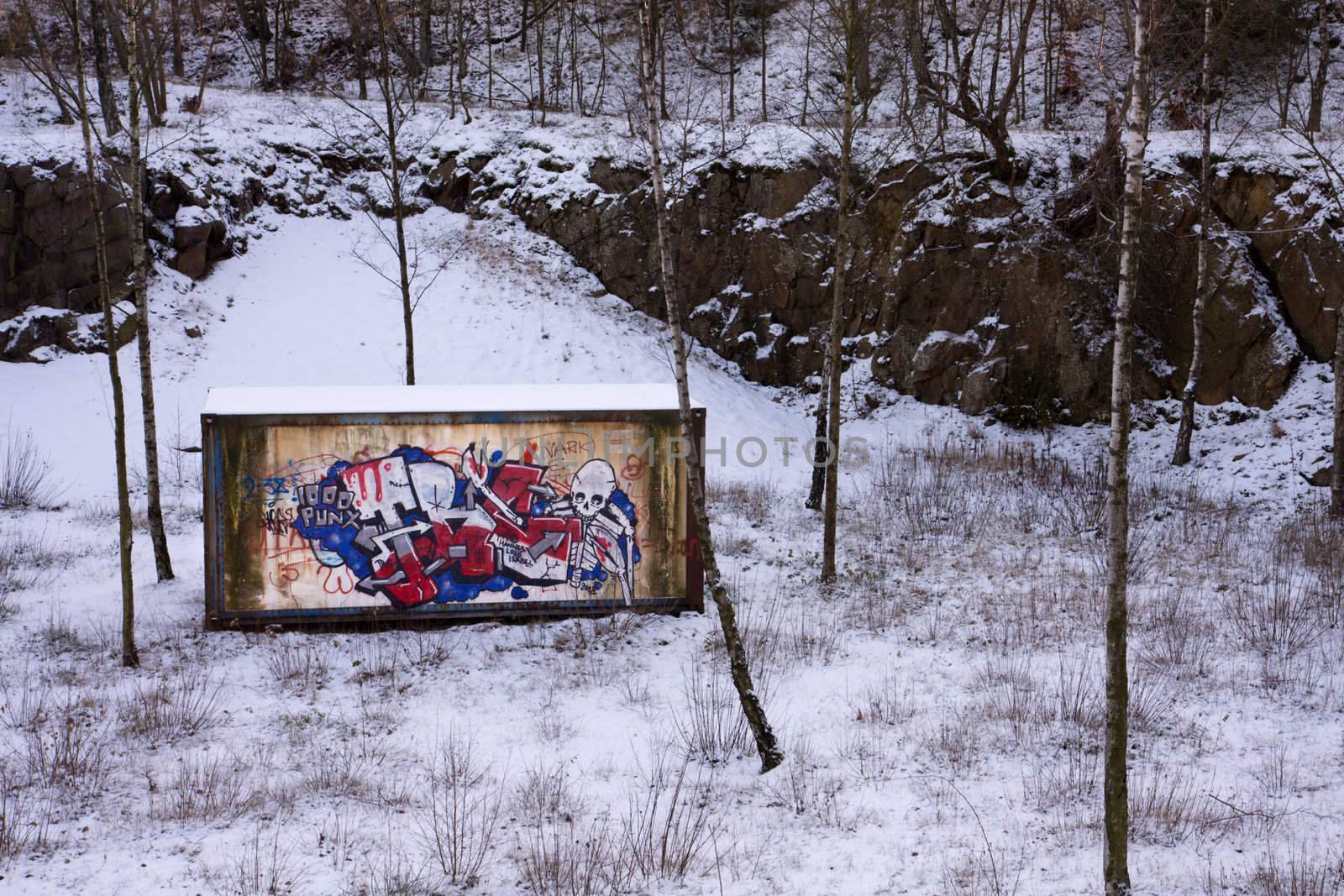 Contrast between a container with graffiti and its natural setting