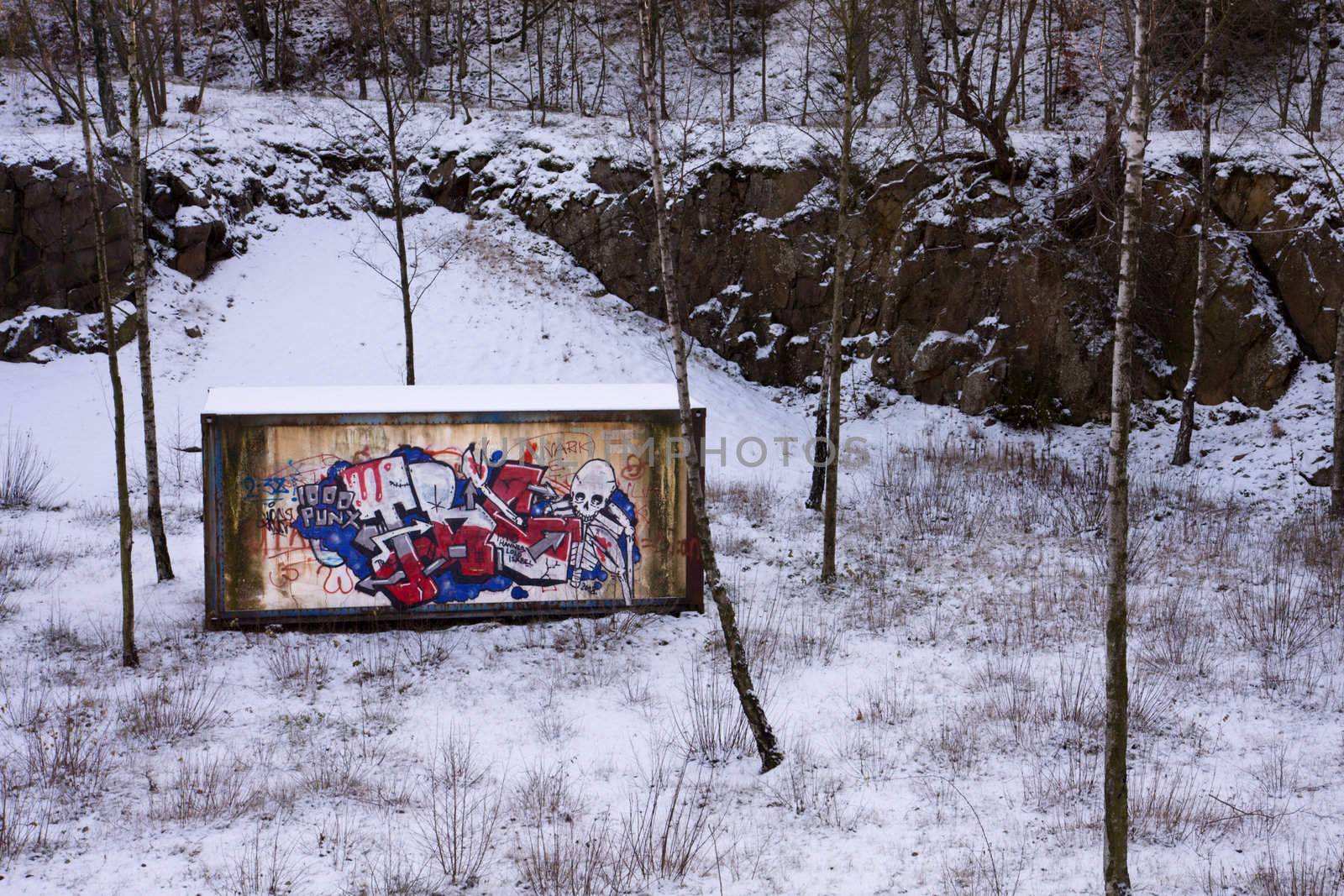 Graffiti container in nature by abey