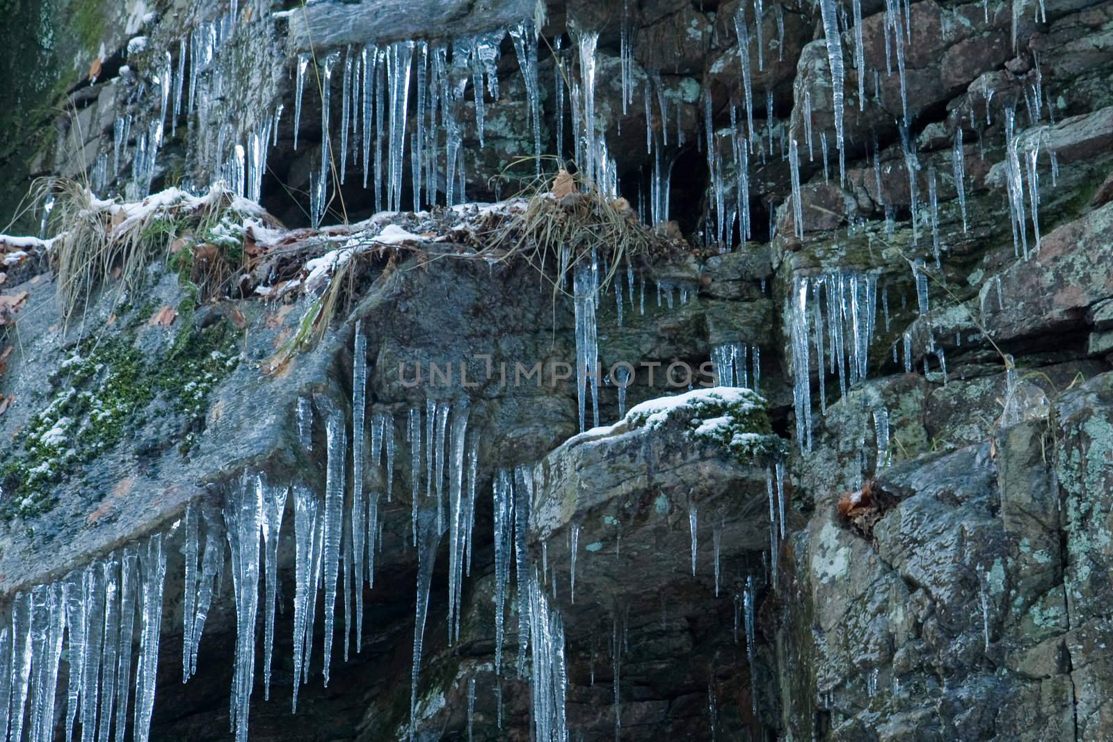 Icicles by abey