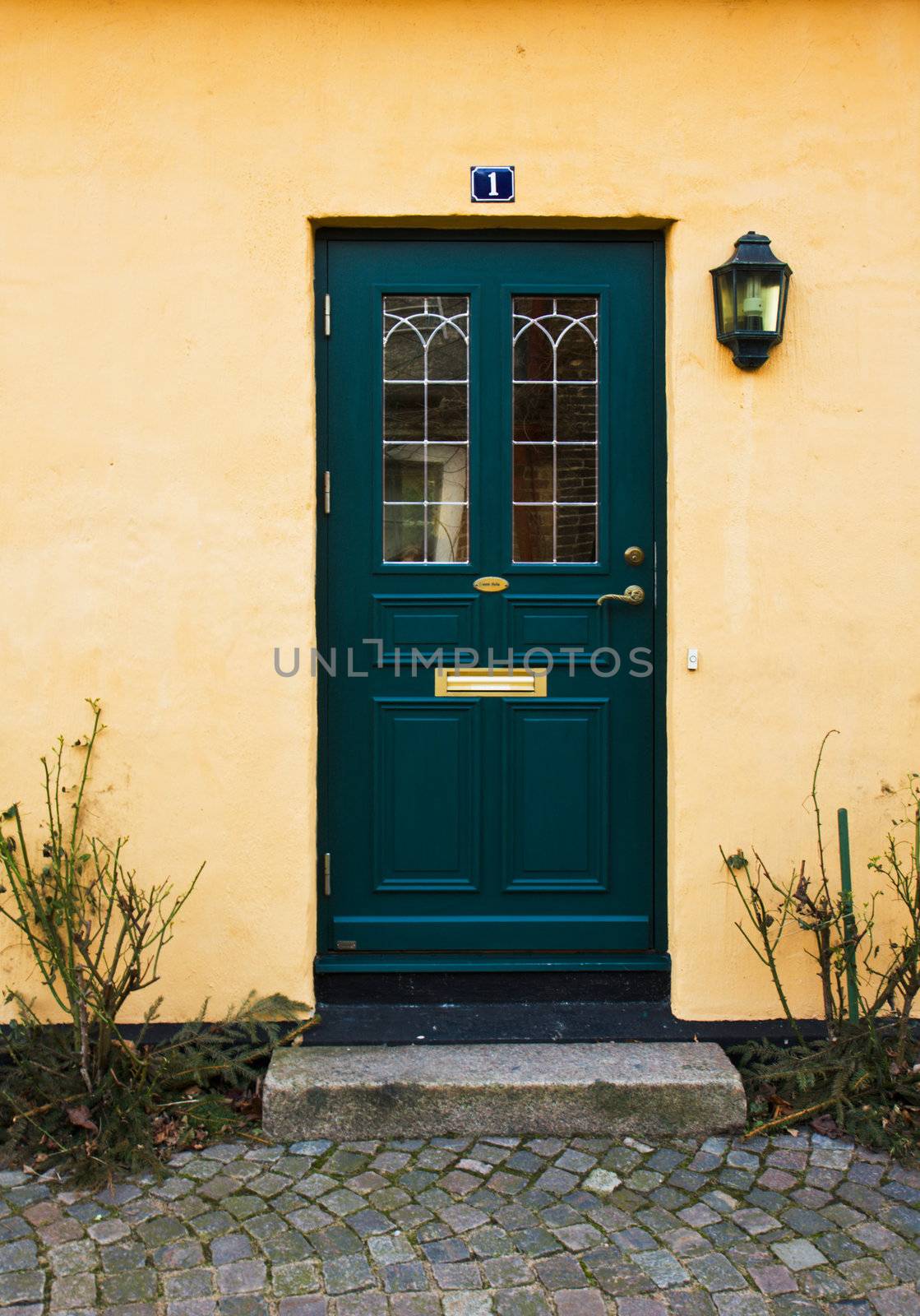 Green door of a welcoming home