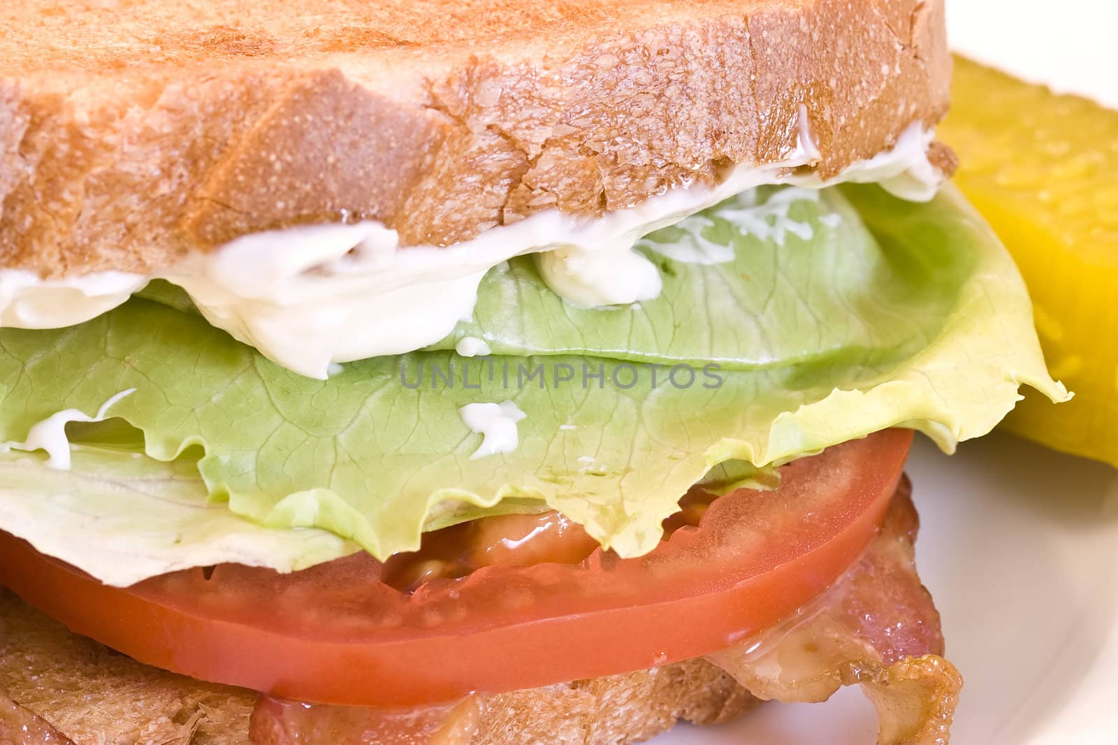A fresh BLT sandwich with lots of bacon, fresh tomatoes,  lettuce and mayo