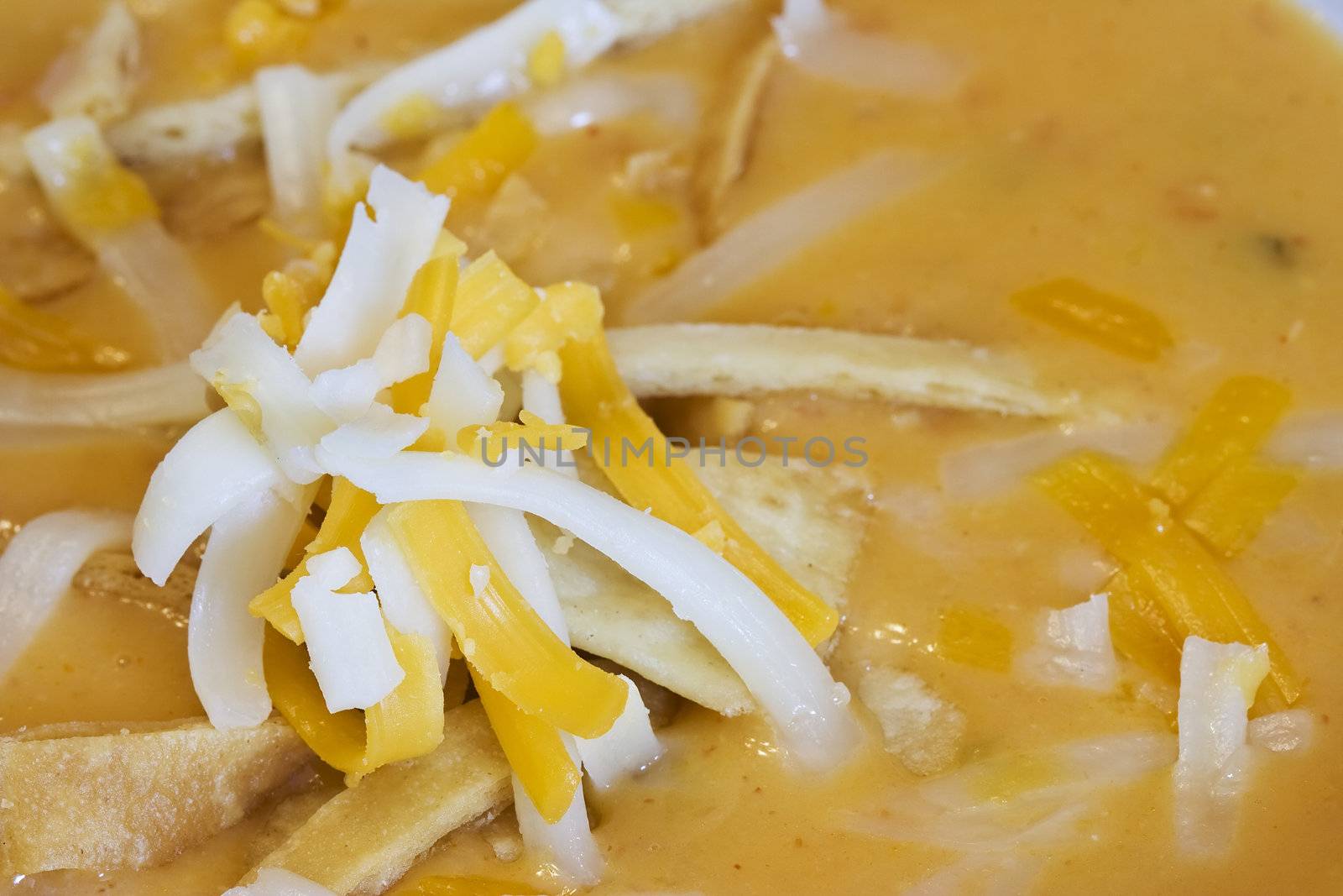 close up of a warm bowl of spicy tortilla soup
