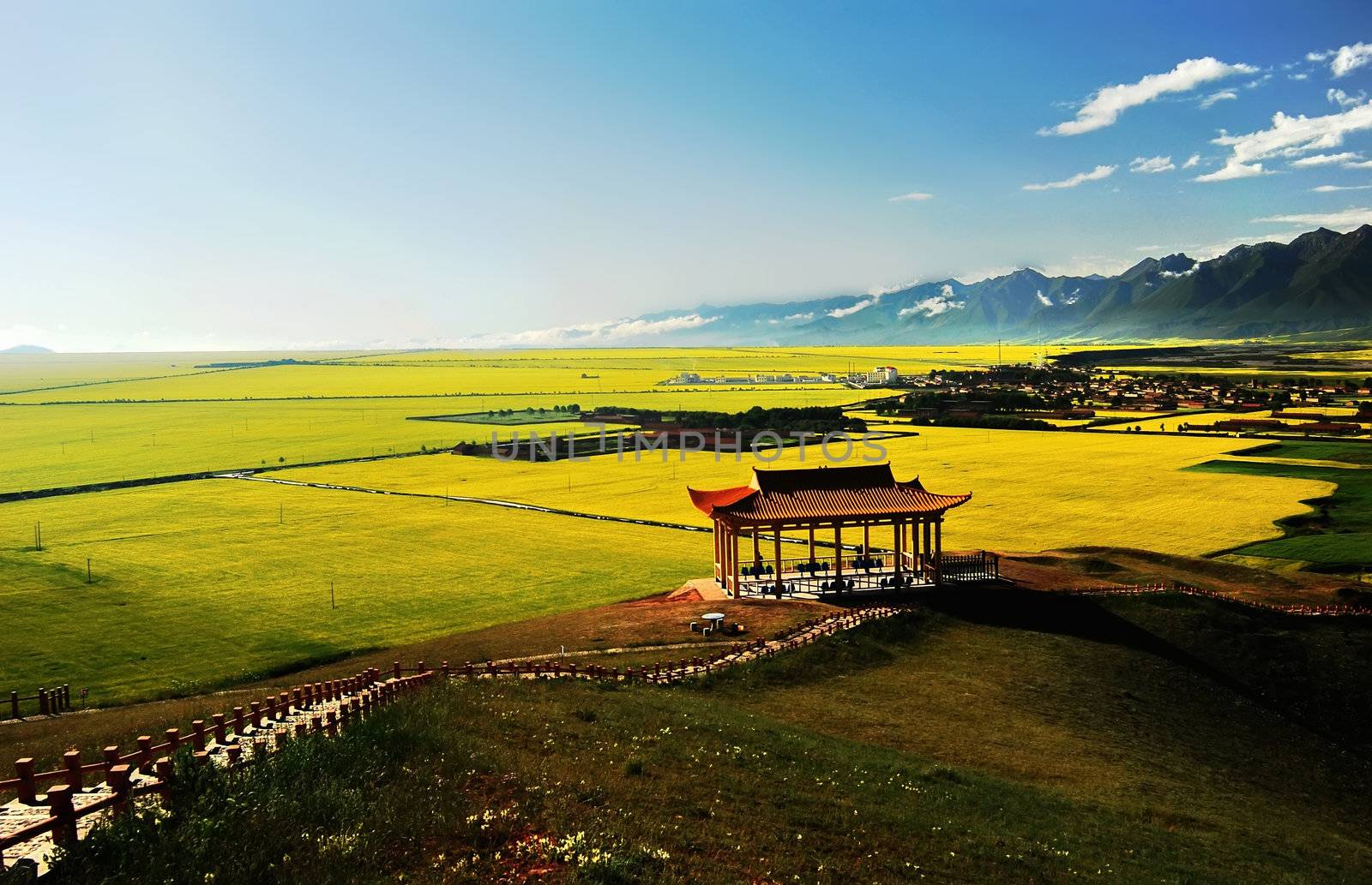 taken in Qinghai Manyuan, China