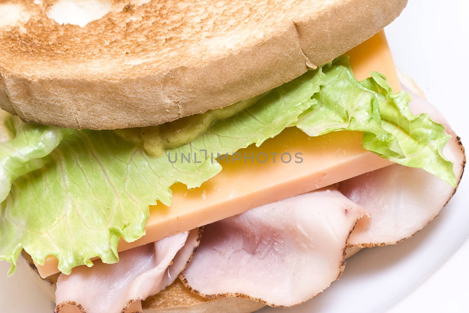 close up of a toasted ham and cheese sandwich