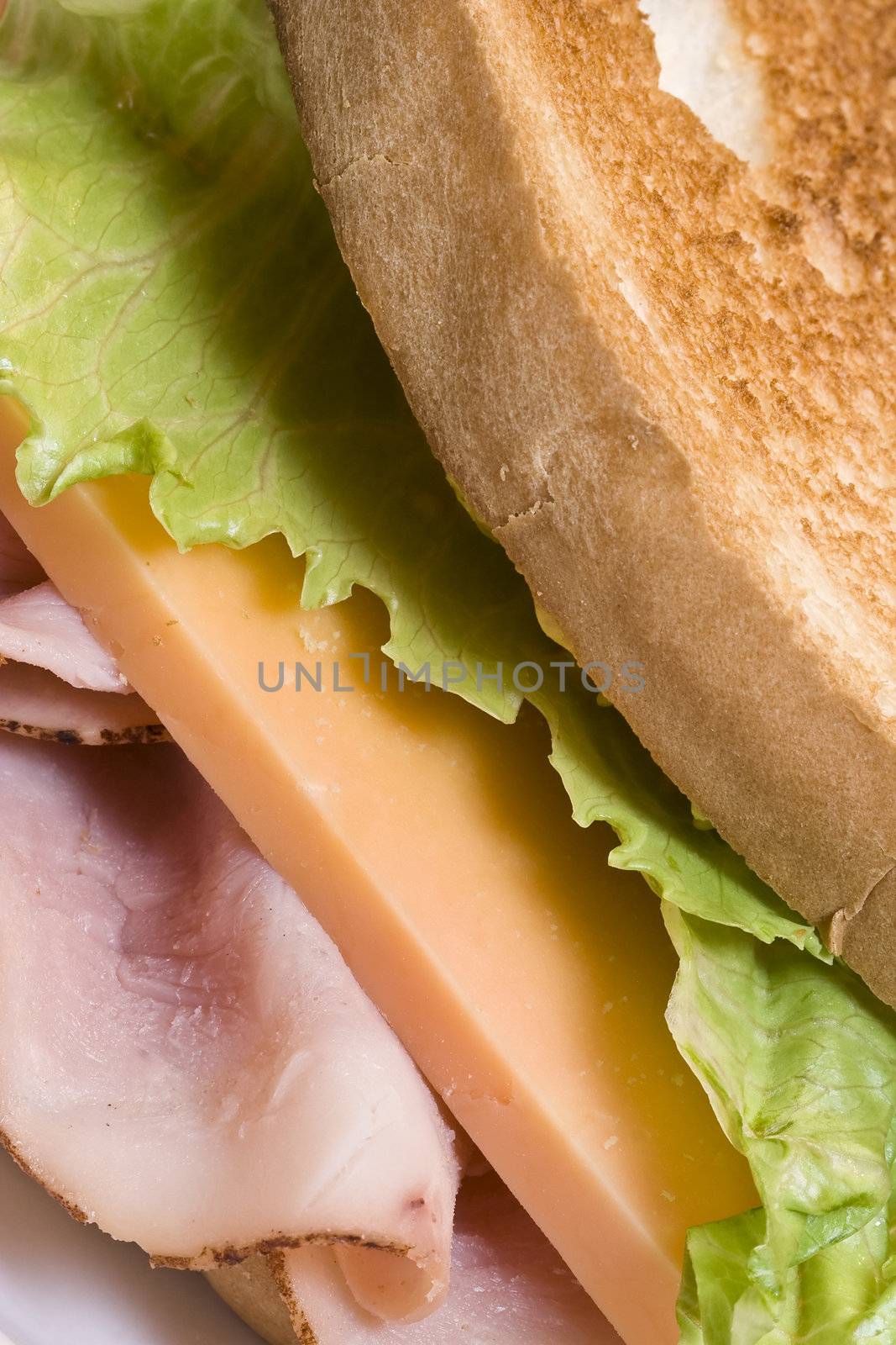 close up of a toasted ham and cheese sandwich