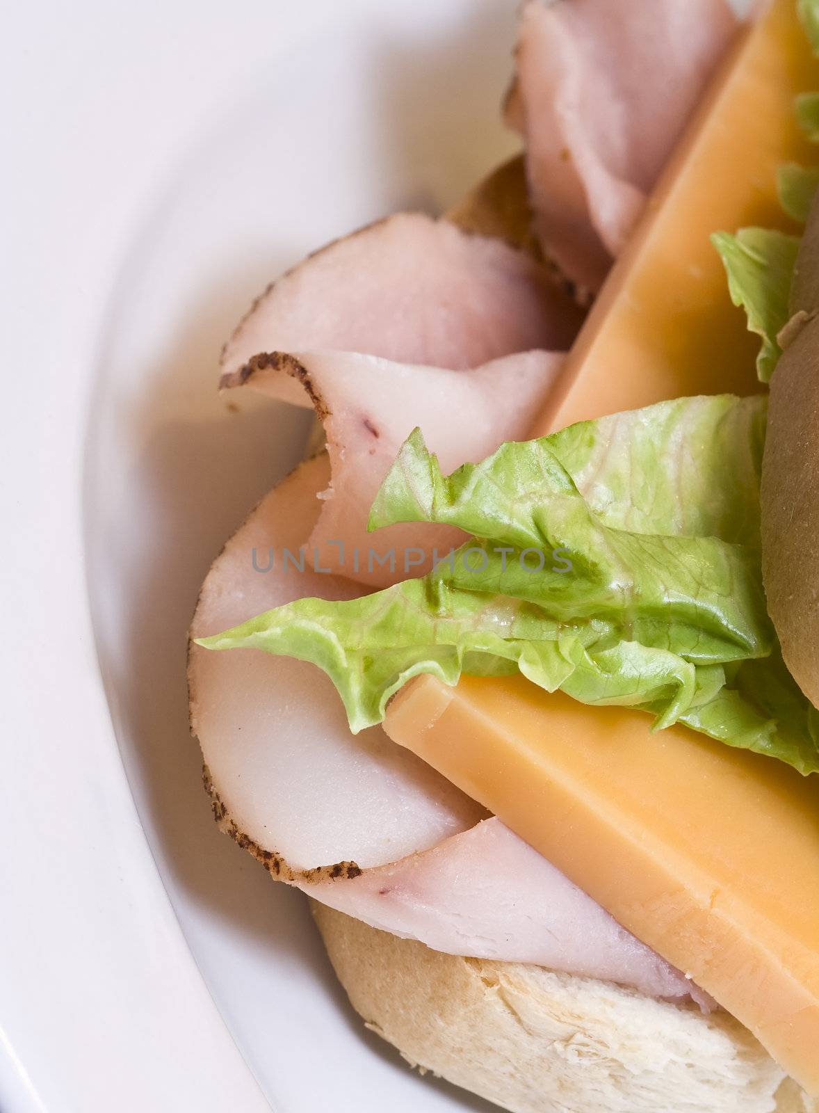 close up of a toasted ham and cheese sandwich