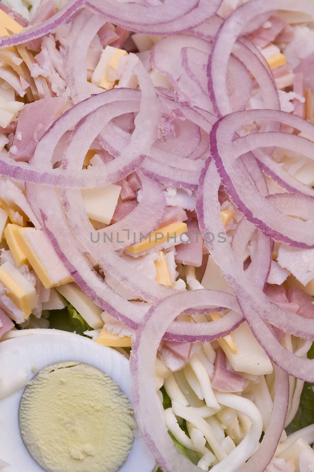 macro shot of a dinner salad with tons of red onions