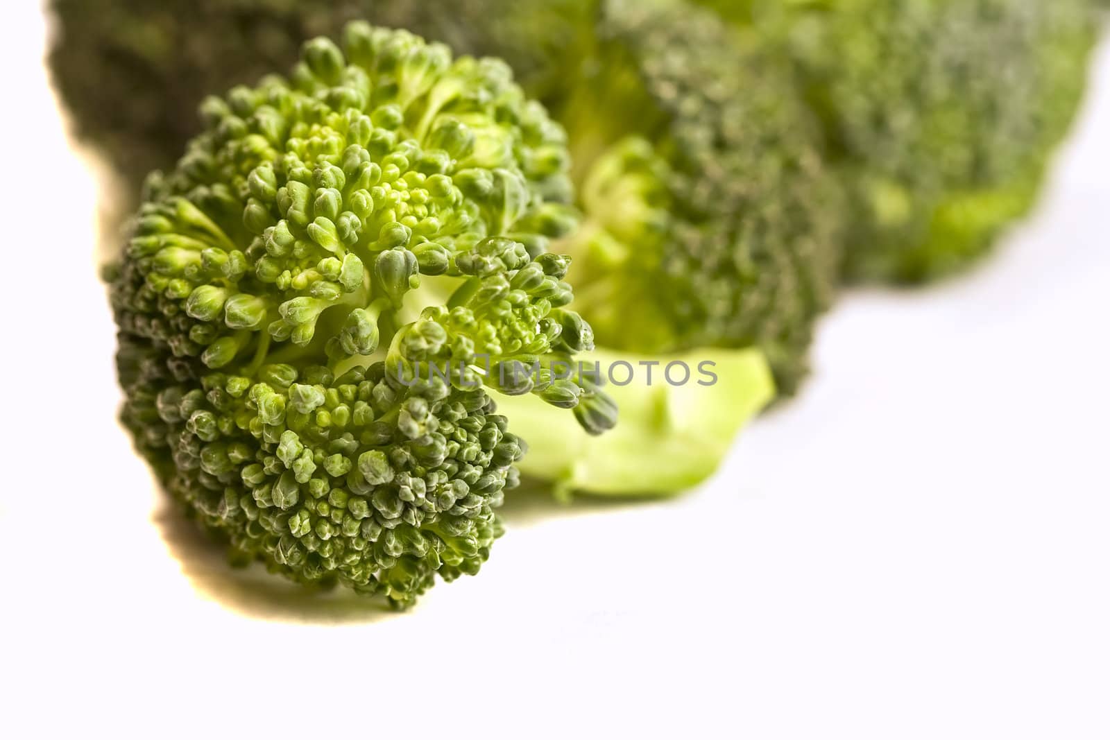 close up of fresh green broccoli nice focus going to blur 