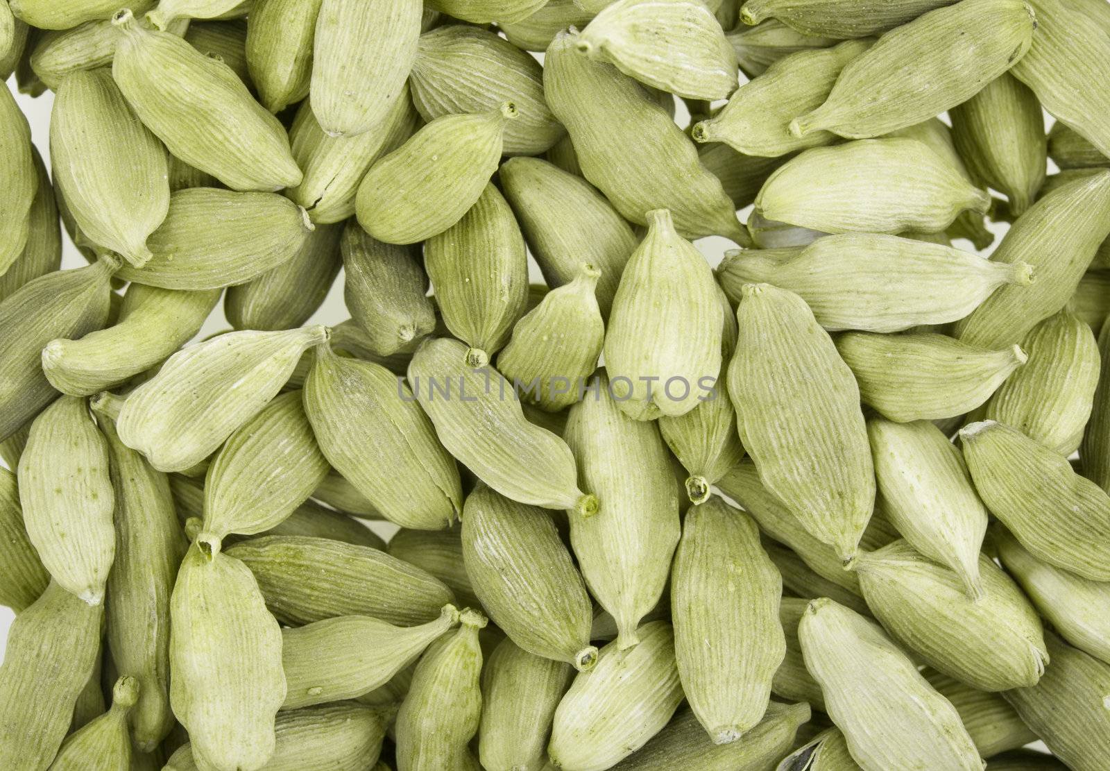 Cardamom whole, the Indian spice. Filmed close up