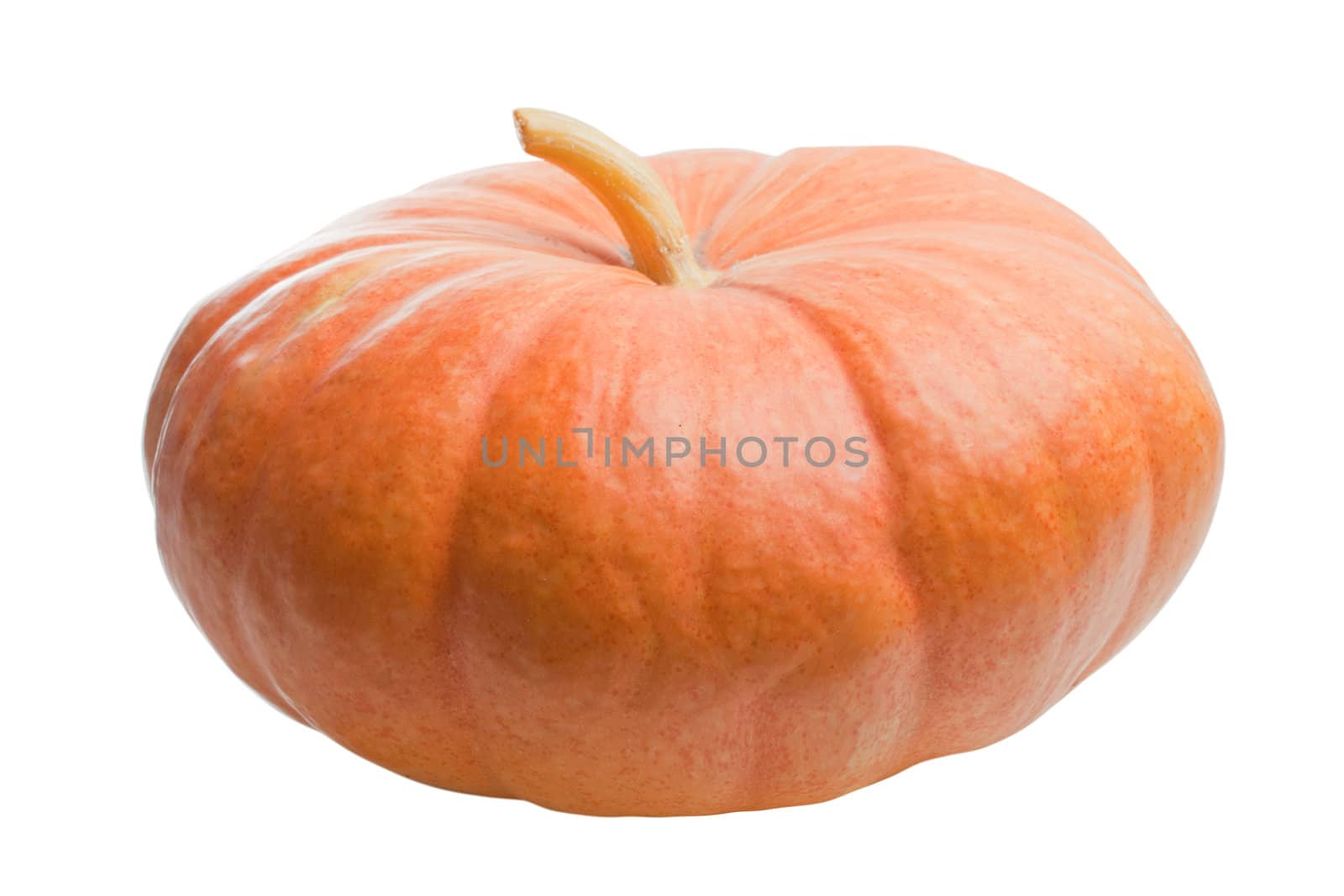 Pumpkin isolated on white background