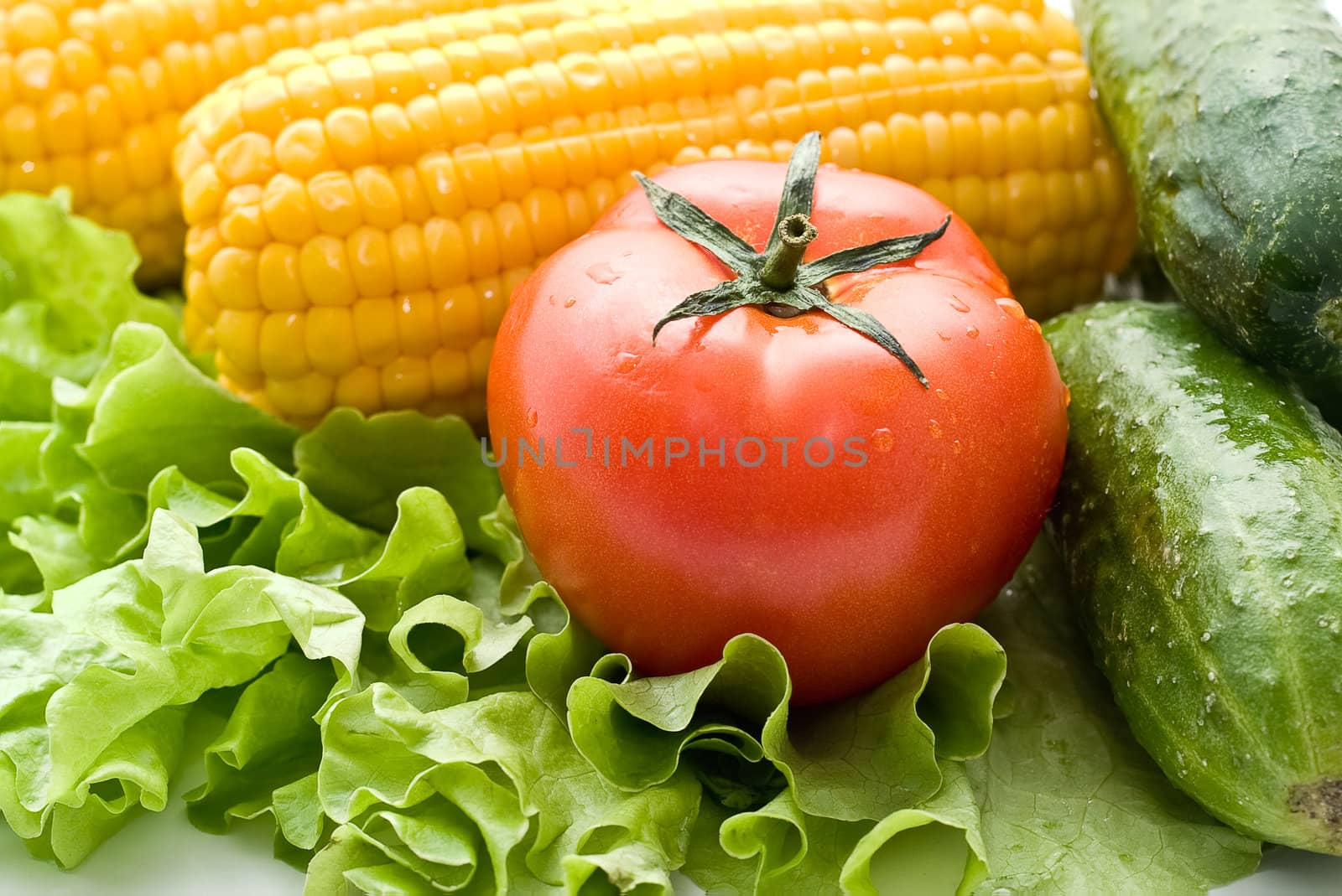 Vegetables close-up: tomatoes, cucumbers, corn on the leaves of lettuce.