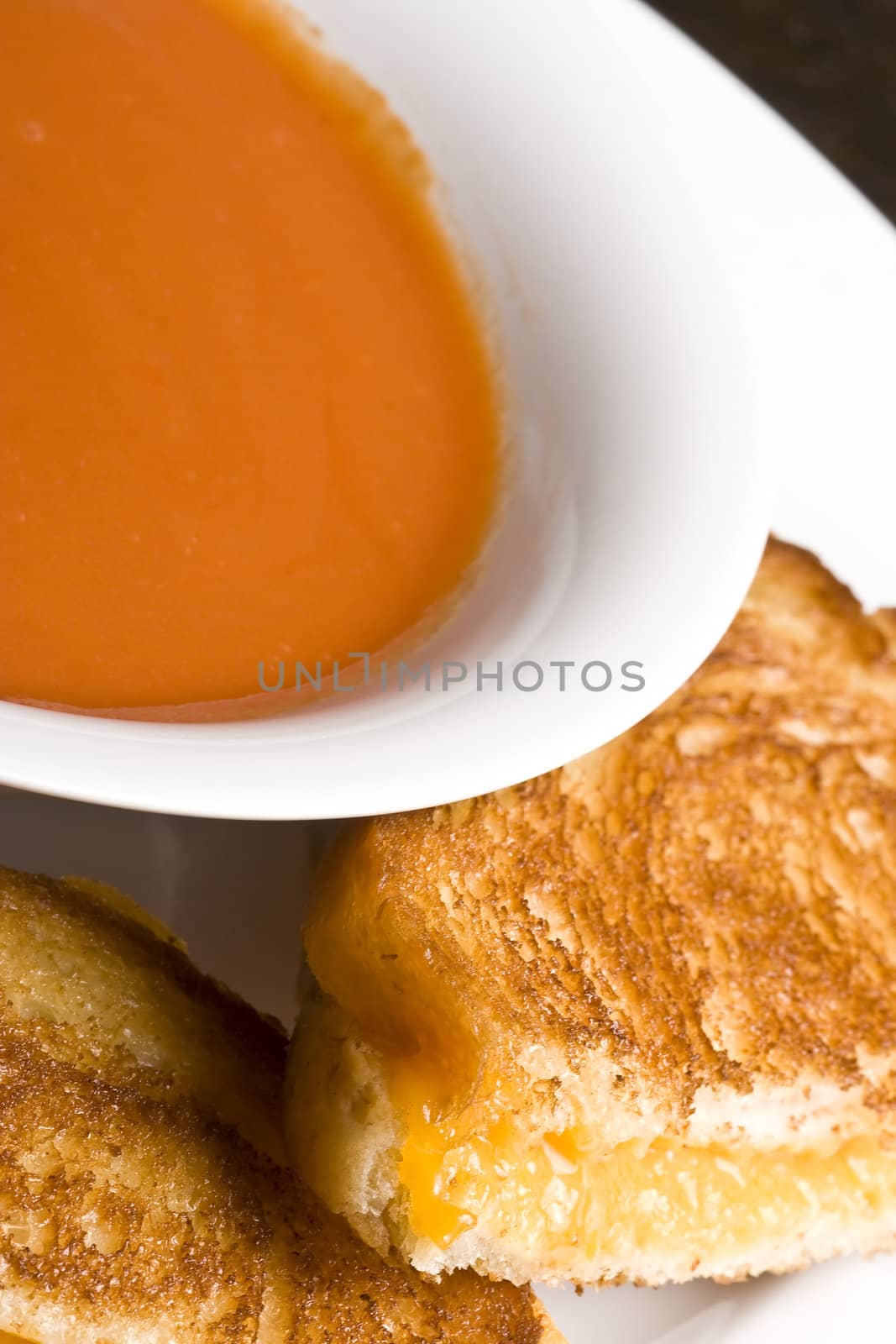 grilled cheese sandwhich on a white plate shot with a macro lens