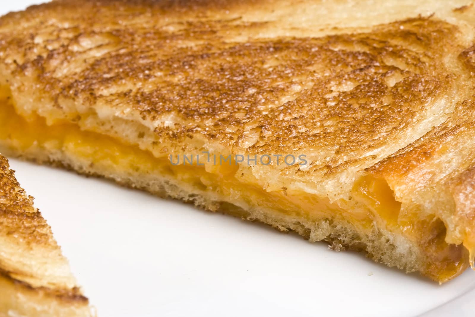 grilled cheese sandwich on a white plate shot with a macro lens