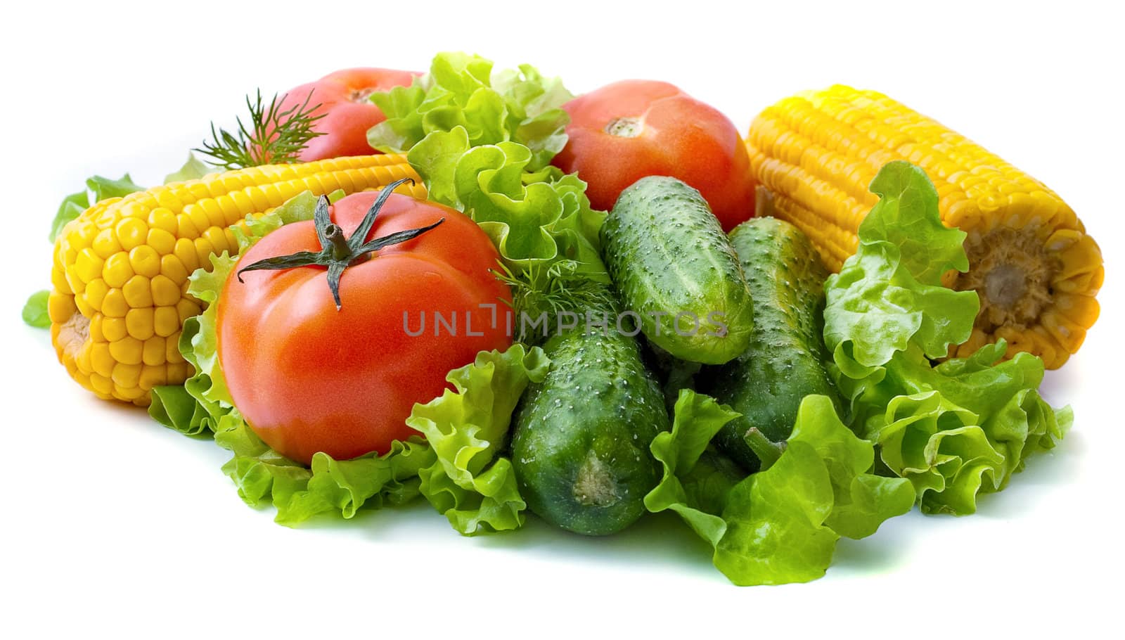 Healthy food on light background: tomatoes, cucumbers, corn on the leaves of lettuce