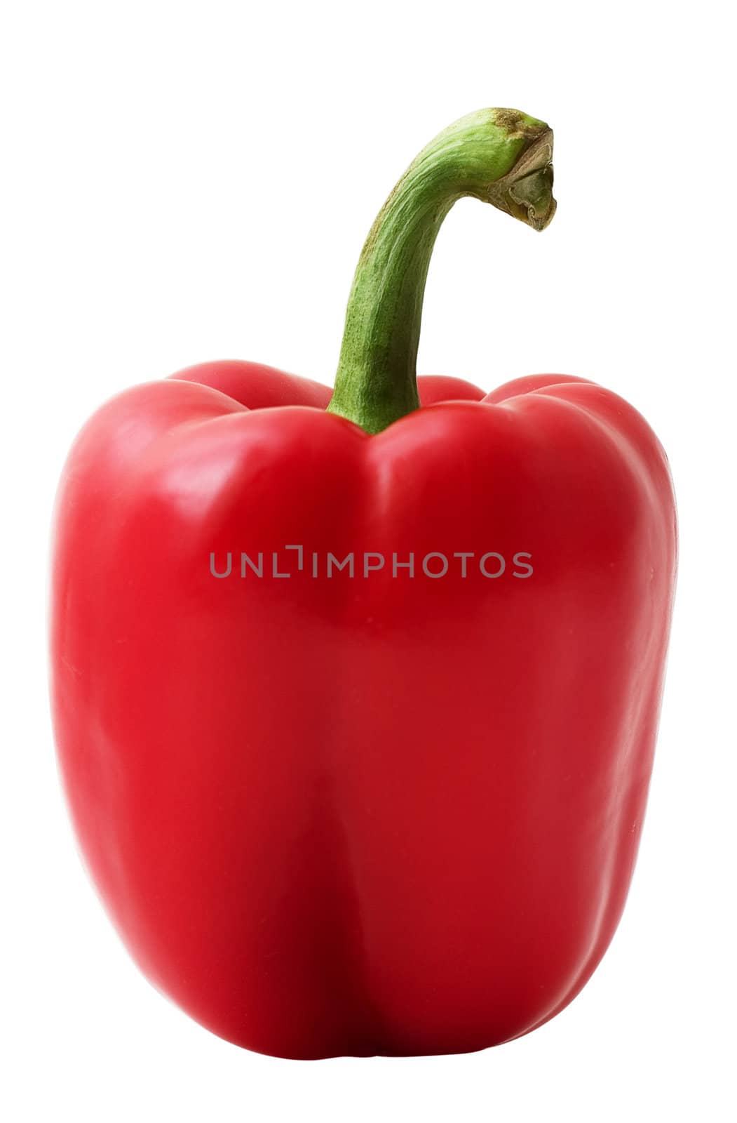 Paprika isolated on white background