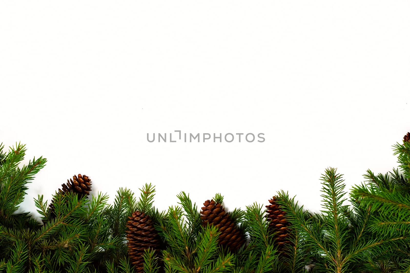 Christmas frame for your congratulations and best wishes. Fur-tree branches and the cone. Studio light.