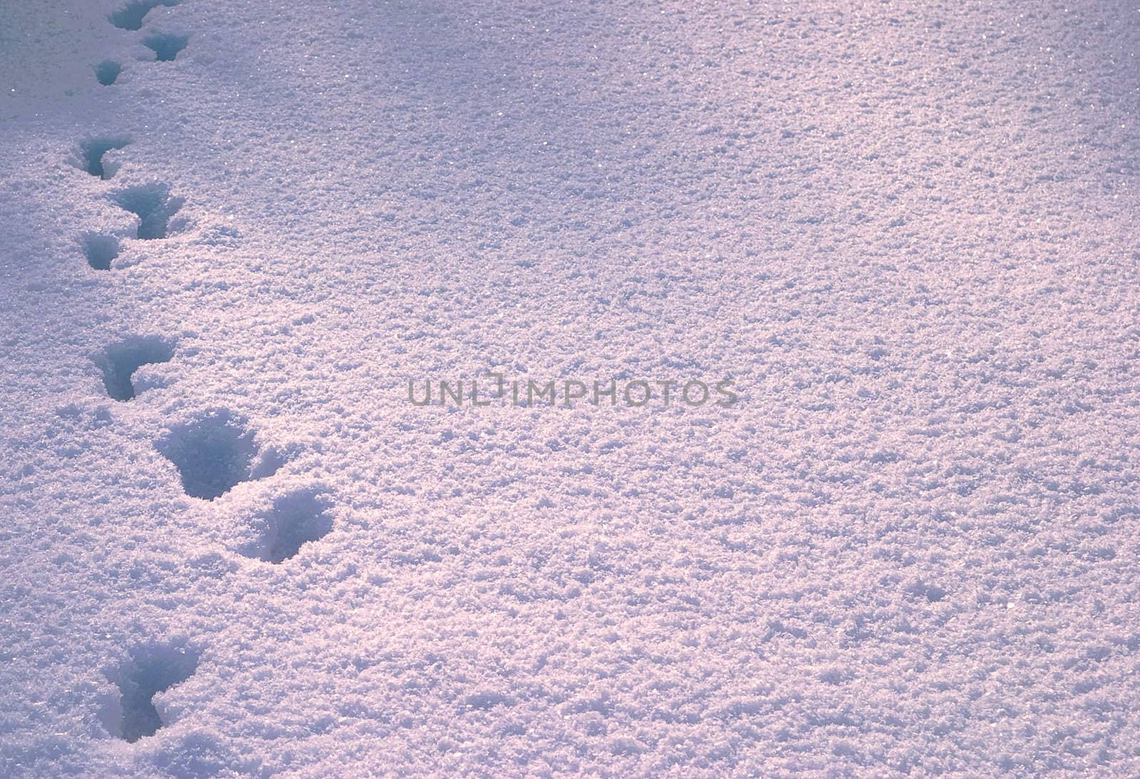 Footprint in deep snow. Russia, winter.
