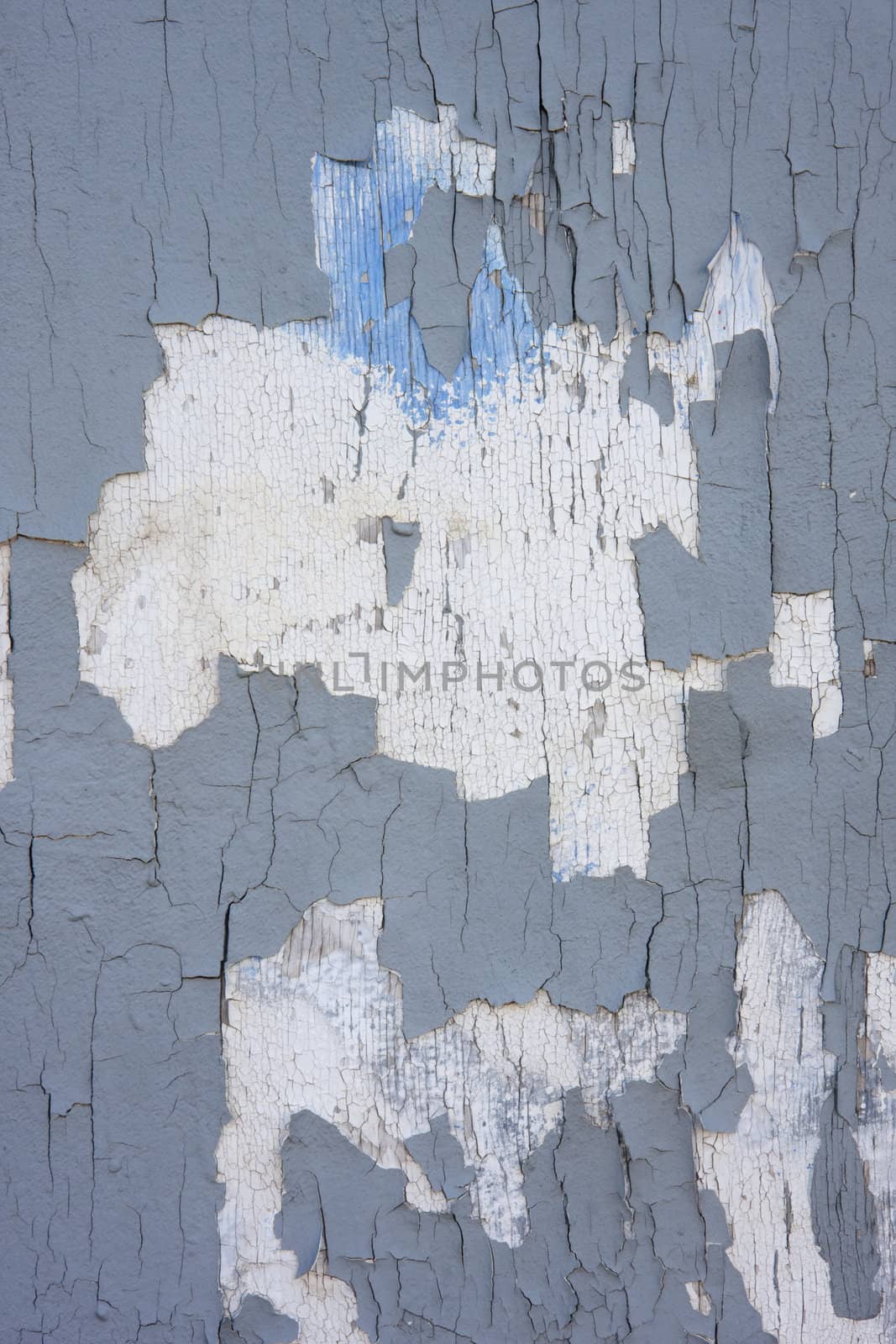 neglected old wooden wall with gray and white paint peeling off