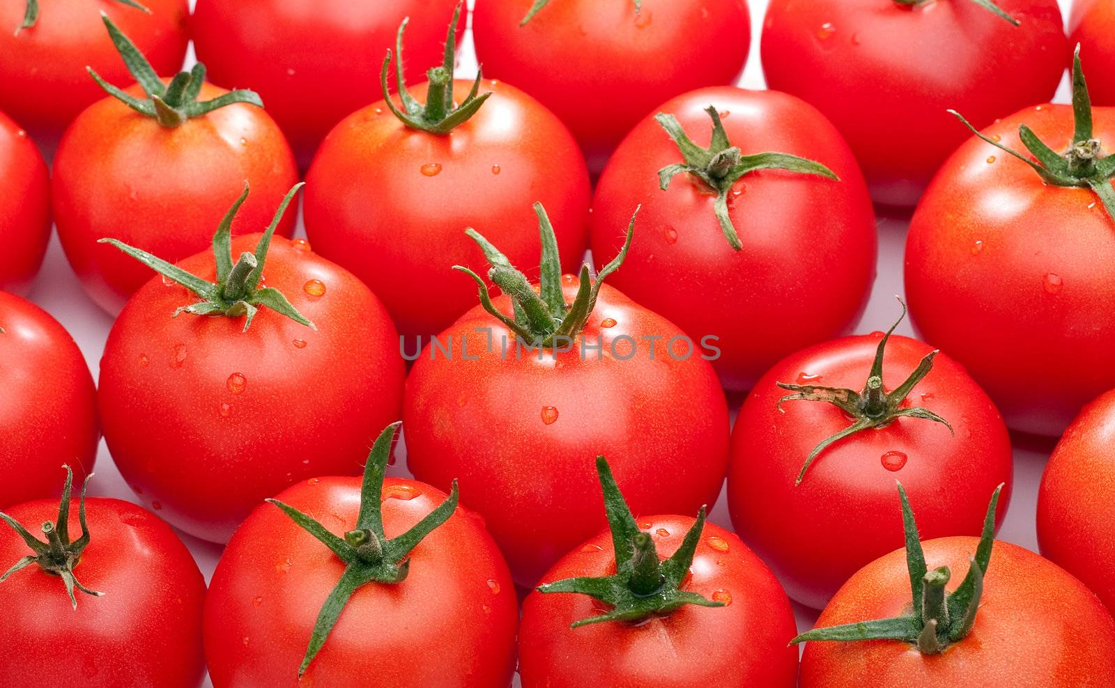 A lot of fresh tomatoes close up