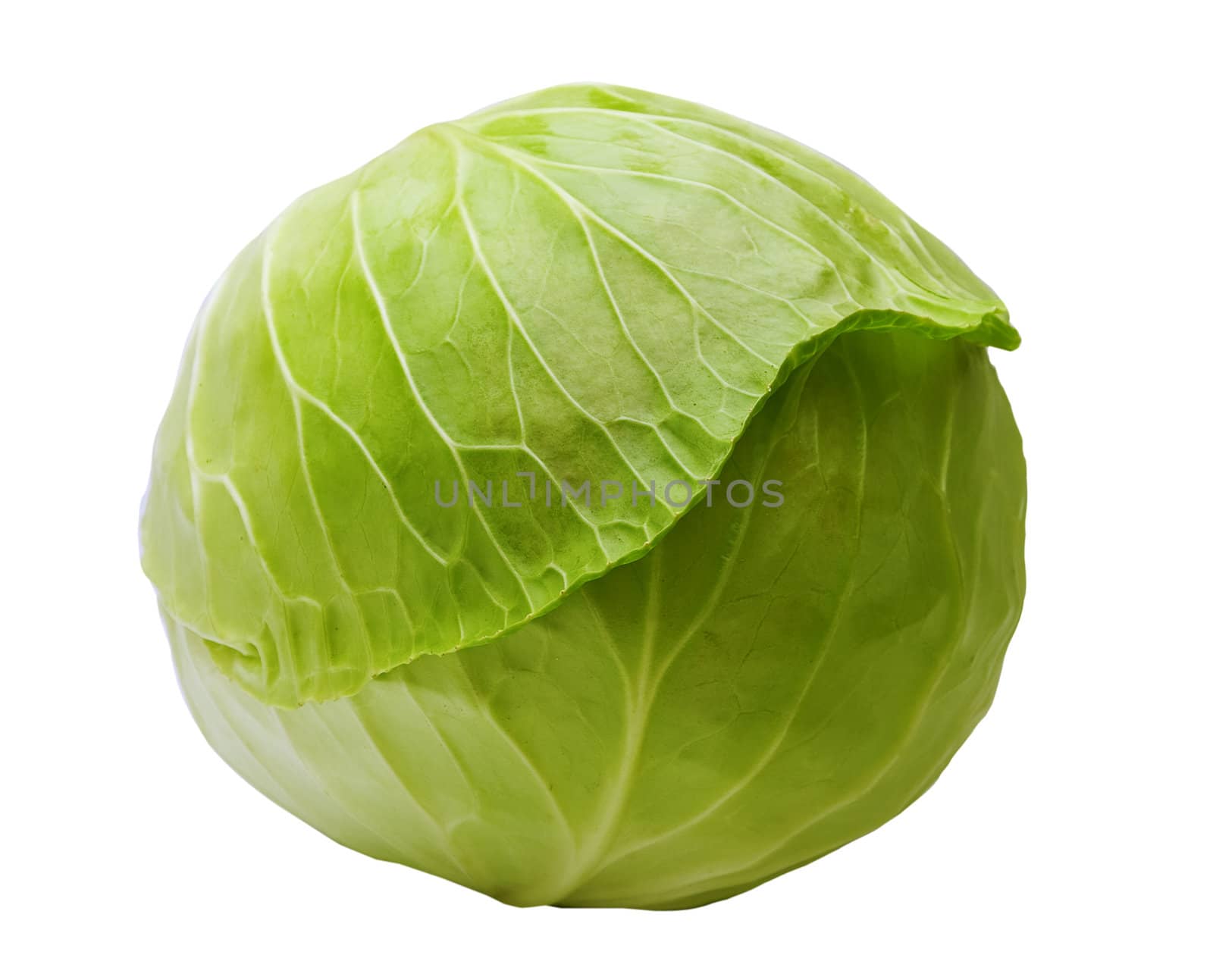 Cabbage is isolated on a white background