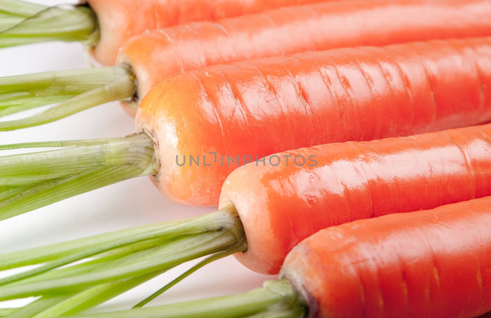 Carrot close on a light background