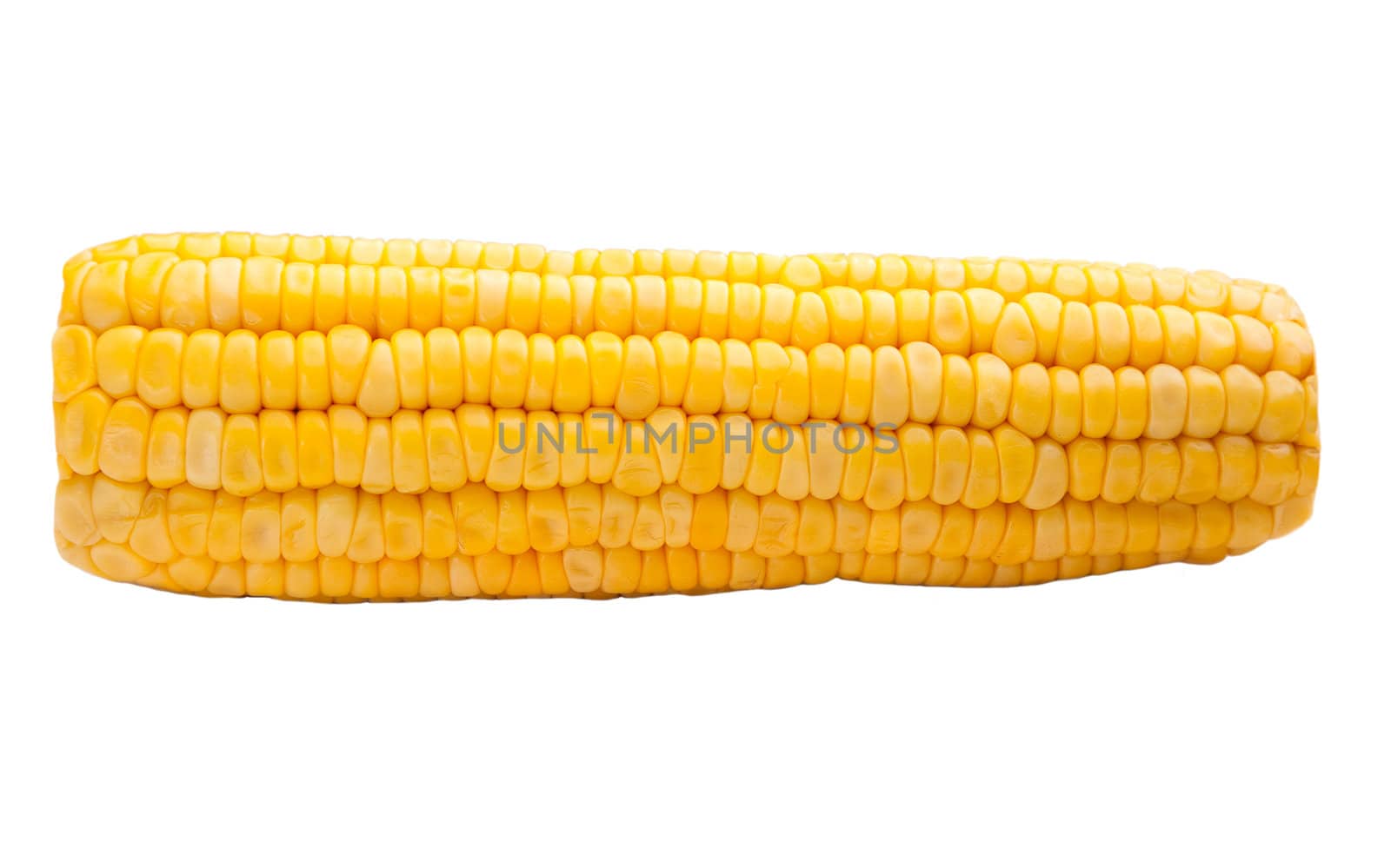 Cob of sweet corn isolated on a white background