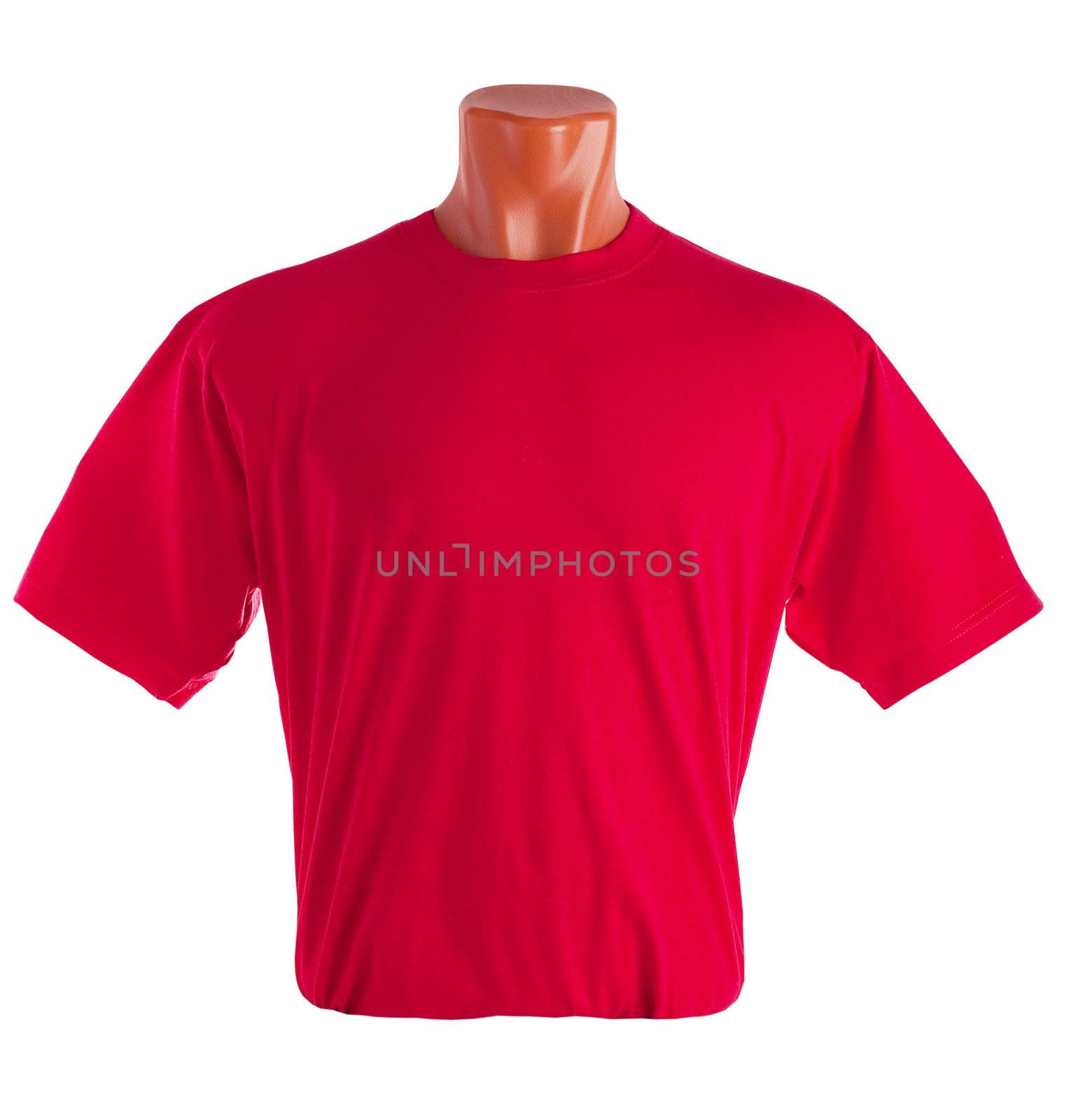 T-shirt on a mannequin isolated on white background. Front view, small folds, natural position.