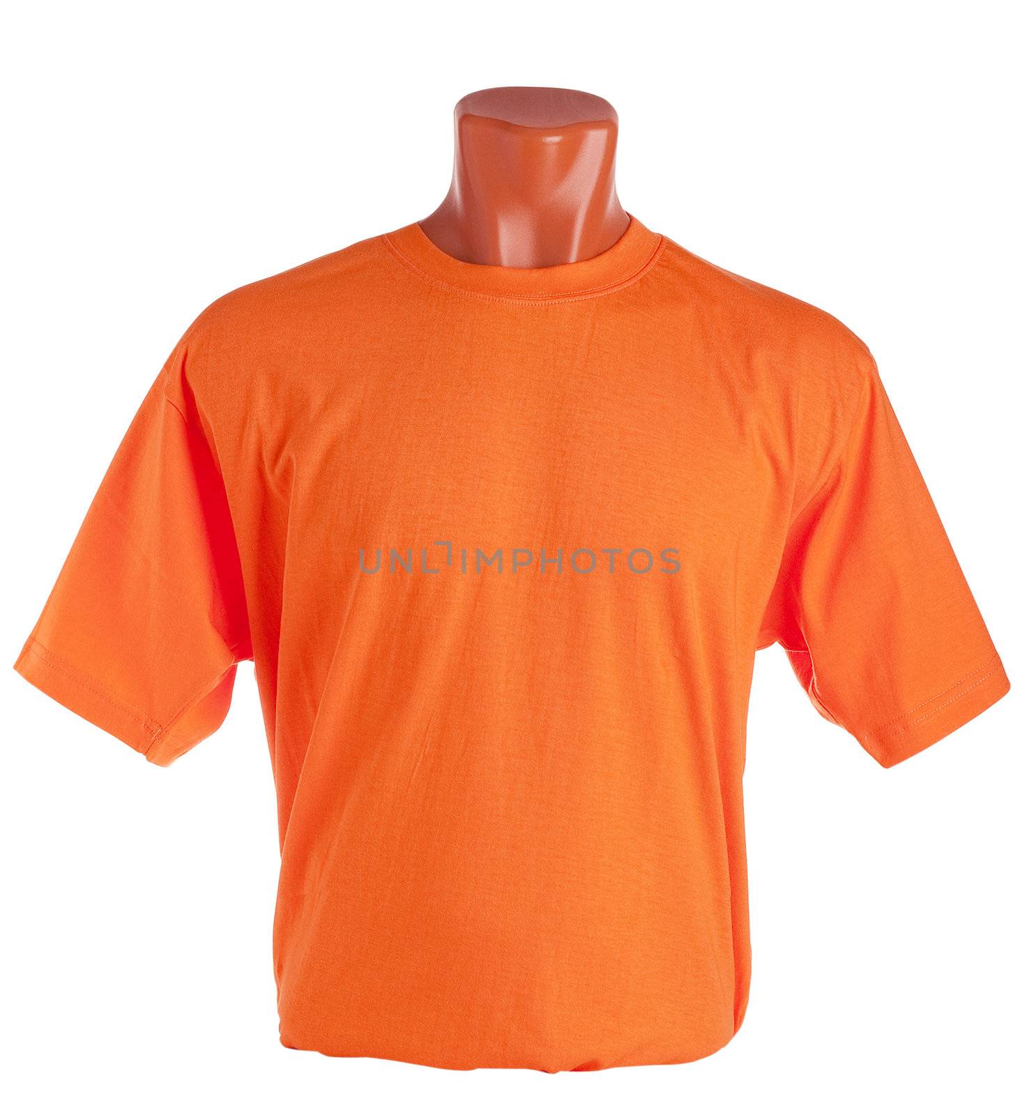 T-shirt on a mannequin isolated on white background. Front view, small folds, natural position.