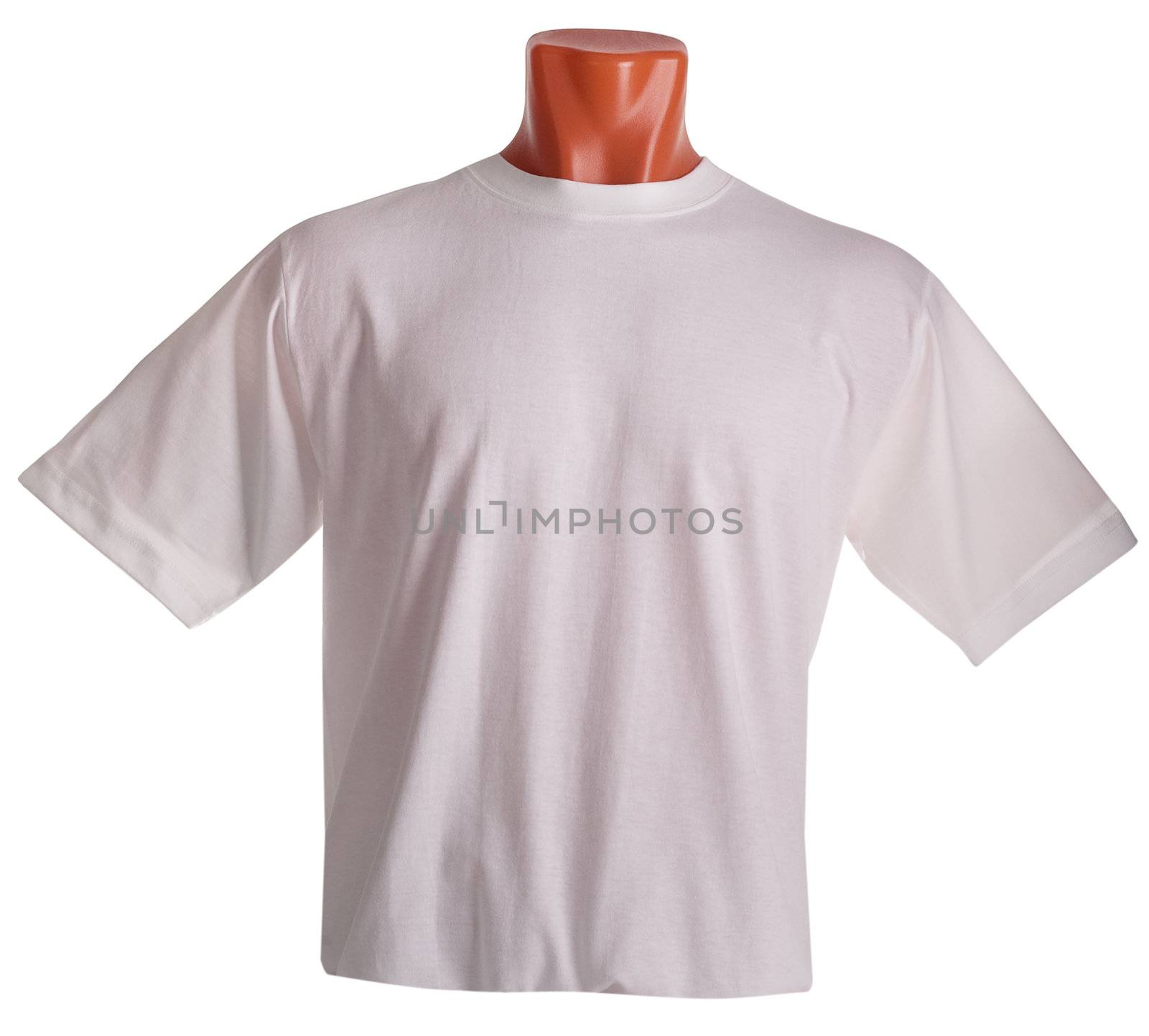 T-shirt on a mannequin isolated on white background. Front view, small folds, natural position.