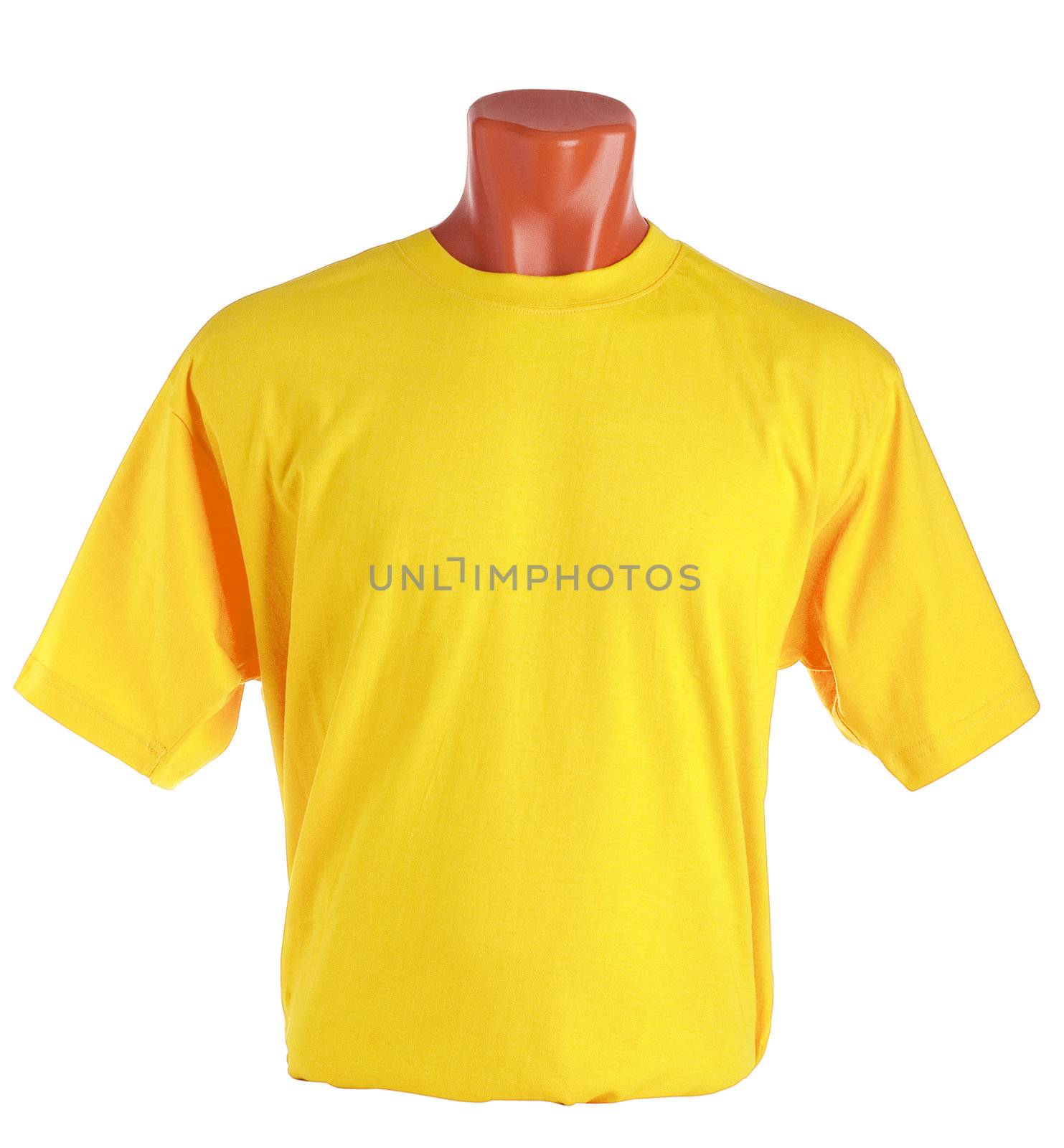 T-shirt on a mannequin isolated on white background. Front view, small folds, natural position.
