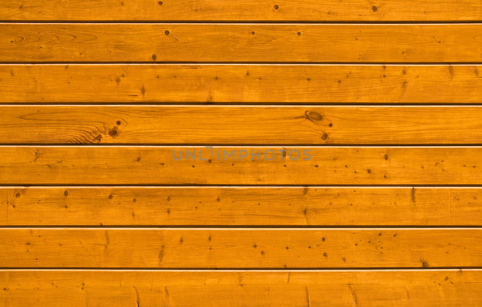 Wall of pine natural wood board. Lining closeup, frontally.