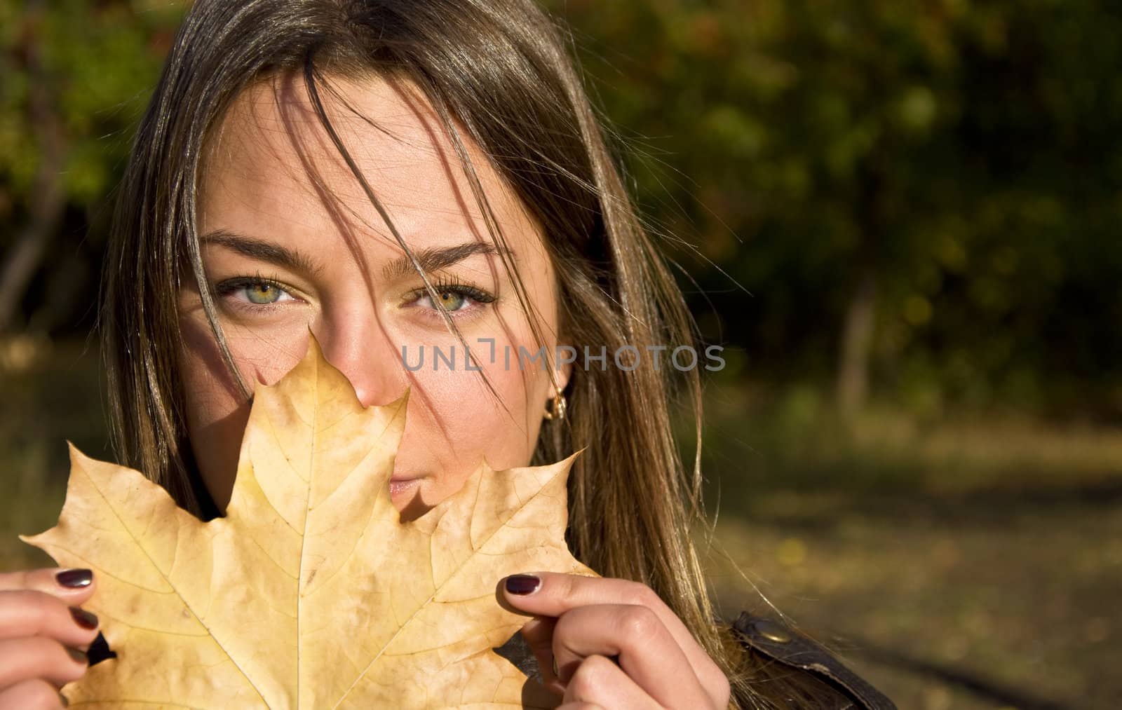 Beautiful young woman holding a maple leaf. Looks into the camera with green eyes. Autumn portrait.