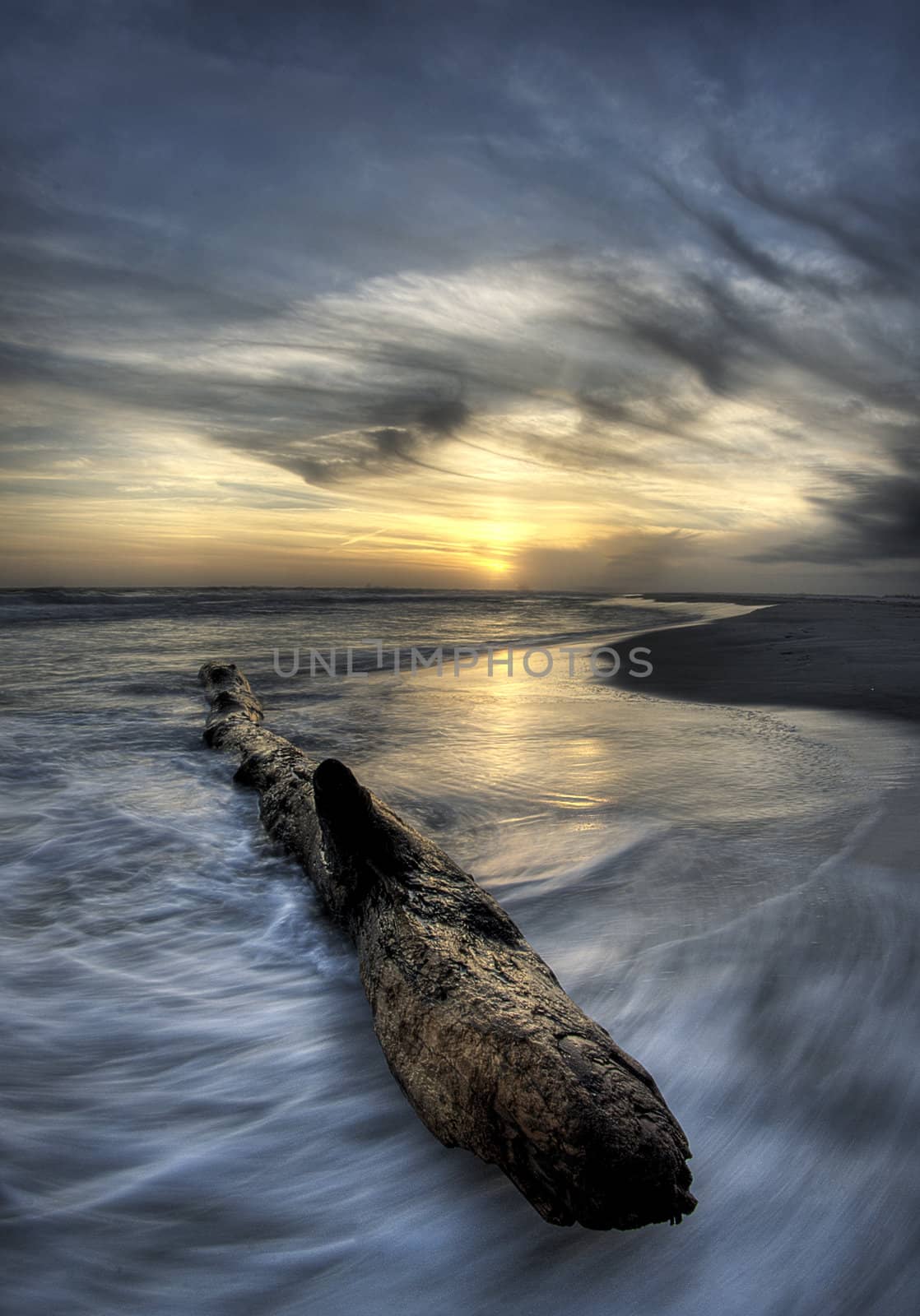 Waves buffet a large beached log on the gulf coast of Florida.