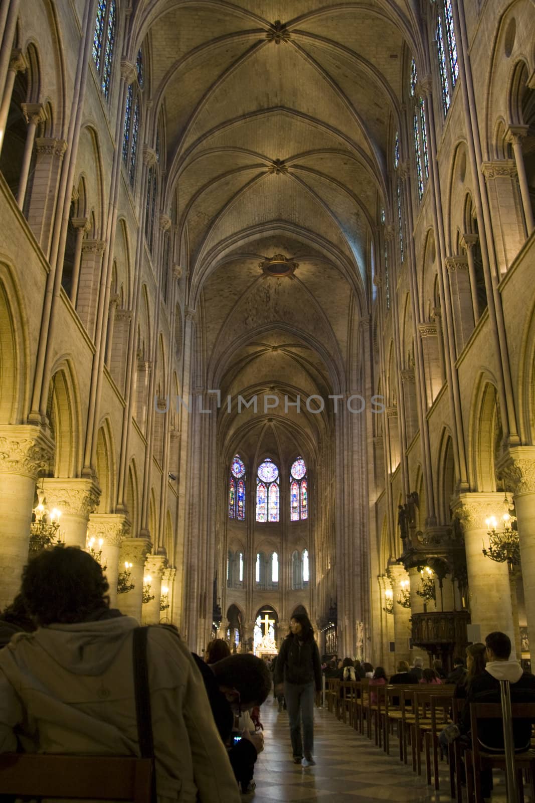 Notre Dame de Paris interior by MihaiDancaescu