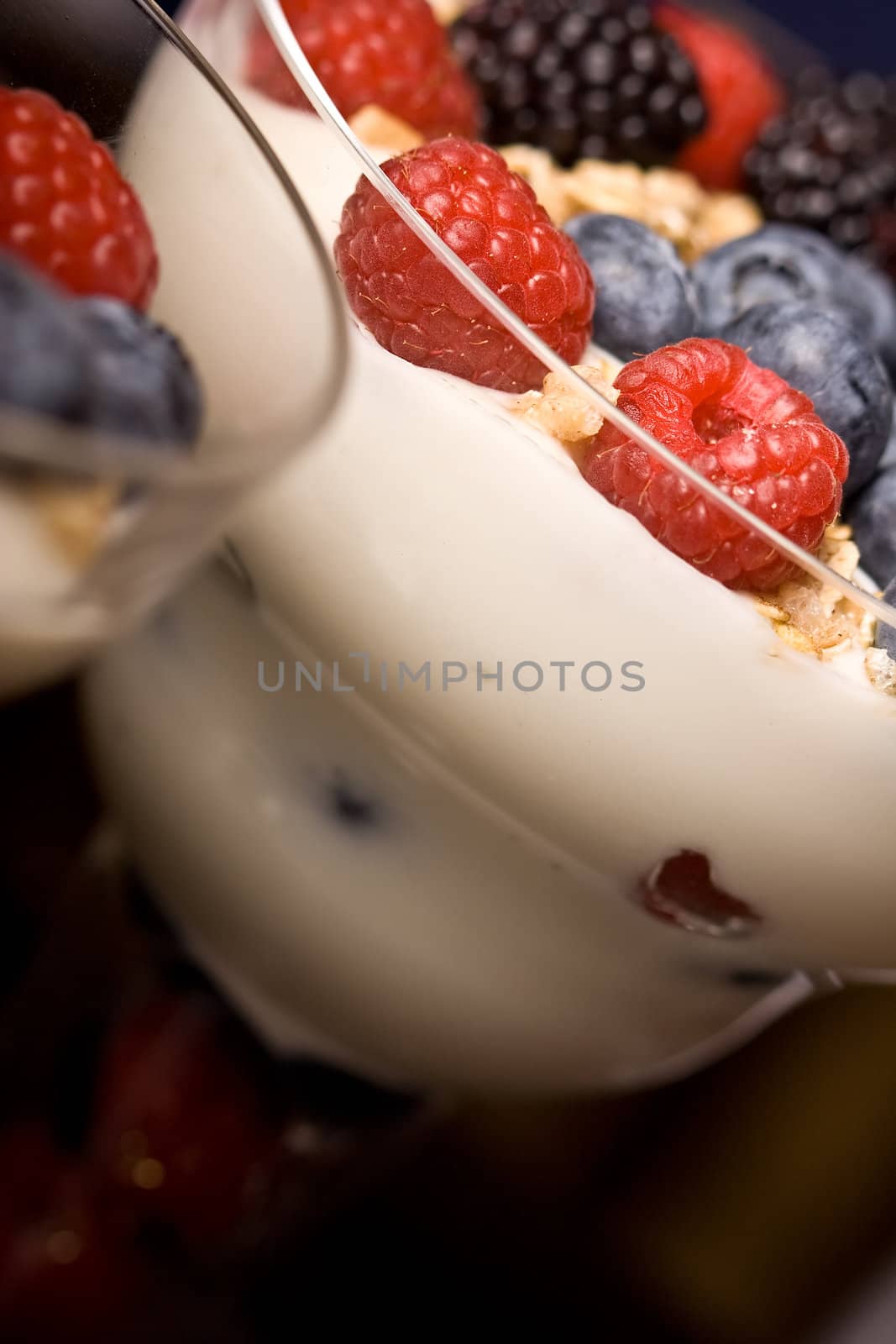 macro shot of colorful fresh fruit