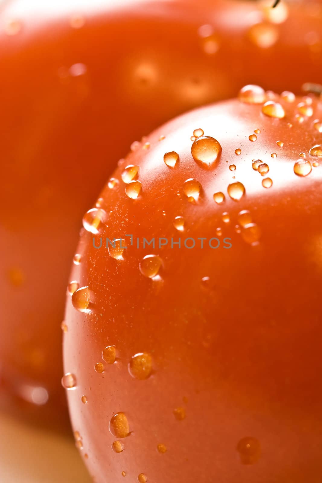 fresh red ripe tomatoes with water drops shot with a macro lens