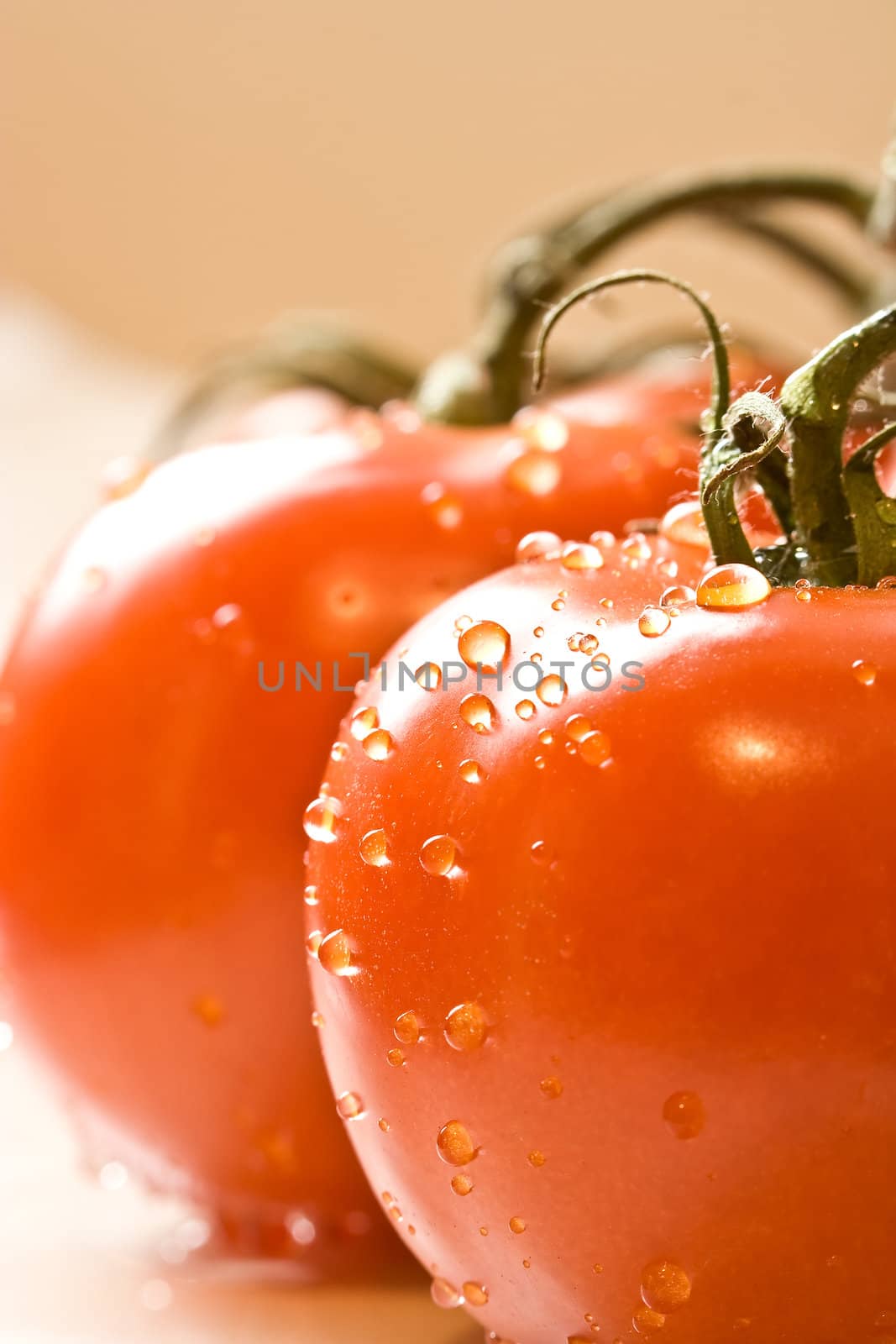 fresh red ripe tomatoes with water drops shot with a macro lens