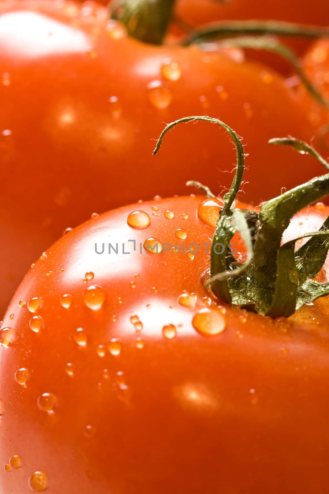 fresh red ripe tomatoes with water drops shot with a macro lens