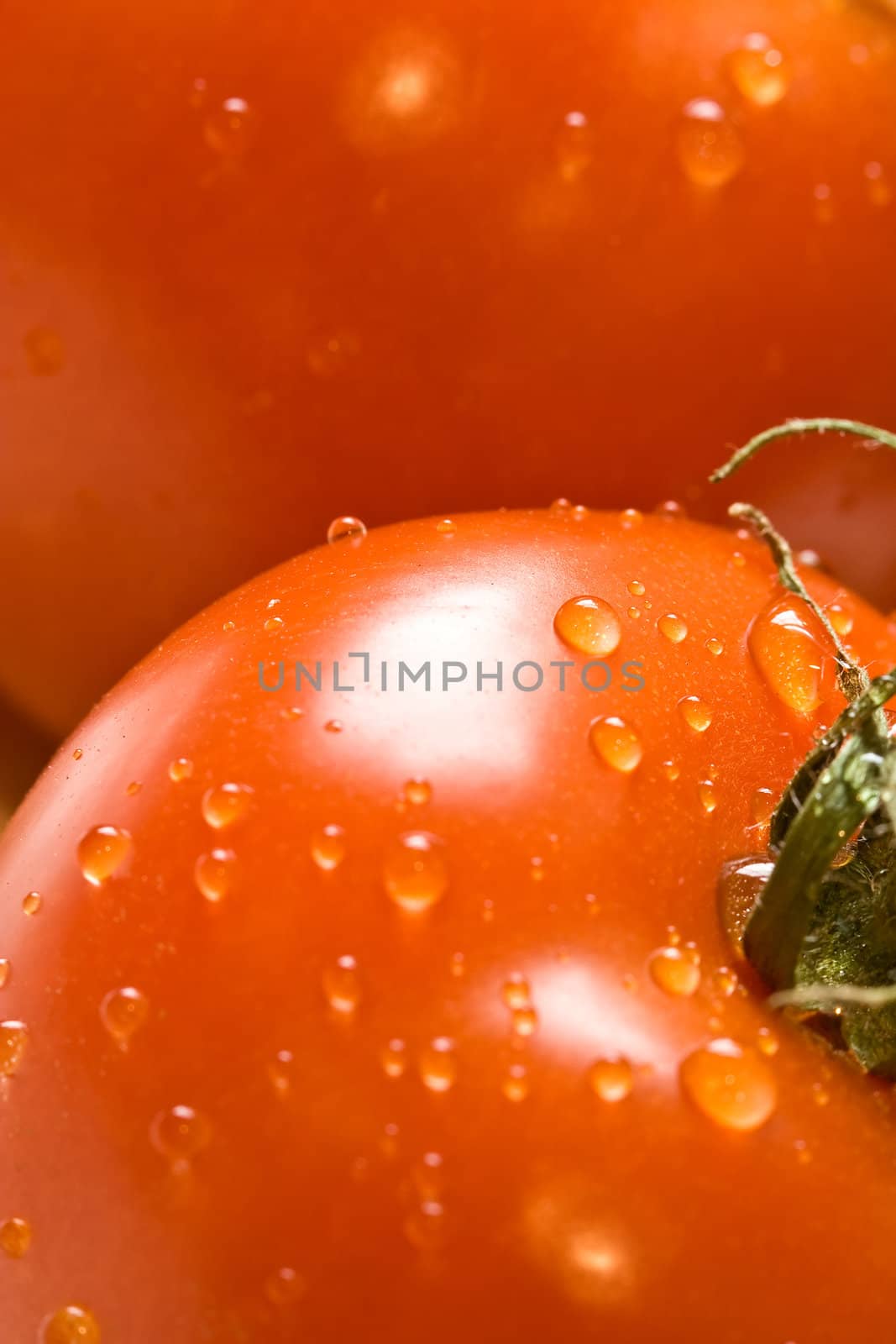 fresh red ripe tomatoes with water drops shot with a macro lens