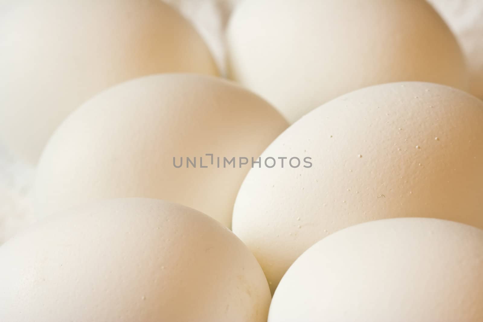 half a dozen eggs on a white napkin nice detail